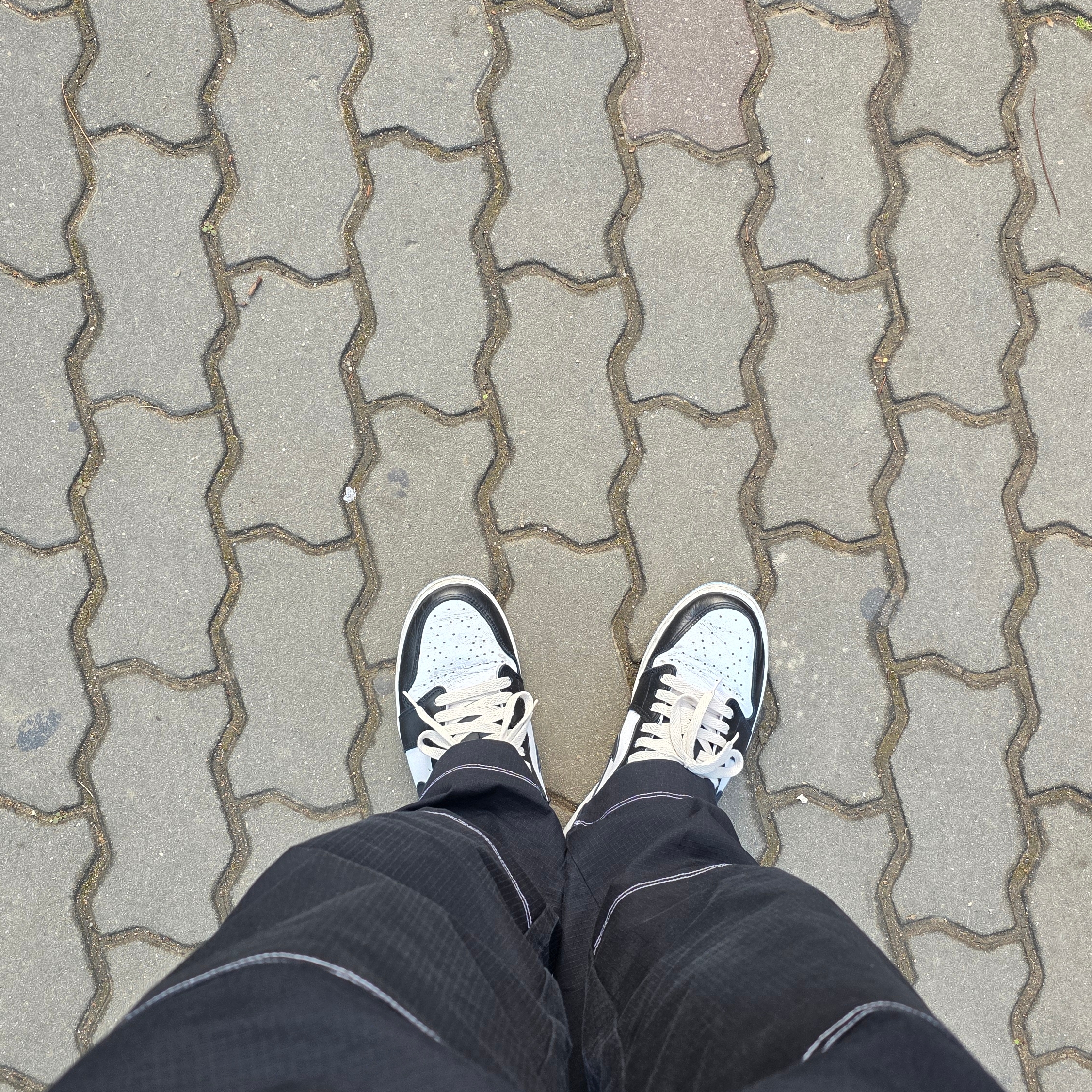 Jordan 1 Retro Low OG Black and Dark Powder Blue 착용 스타일