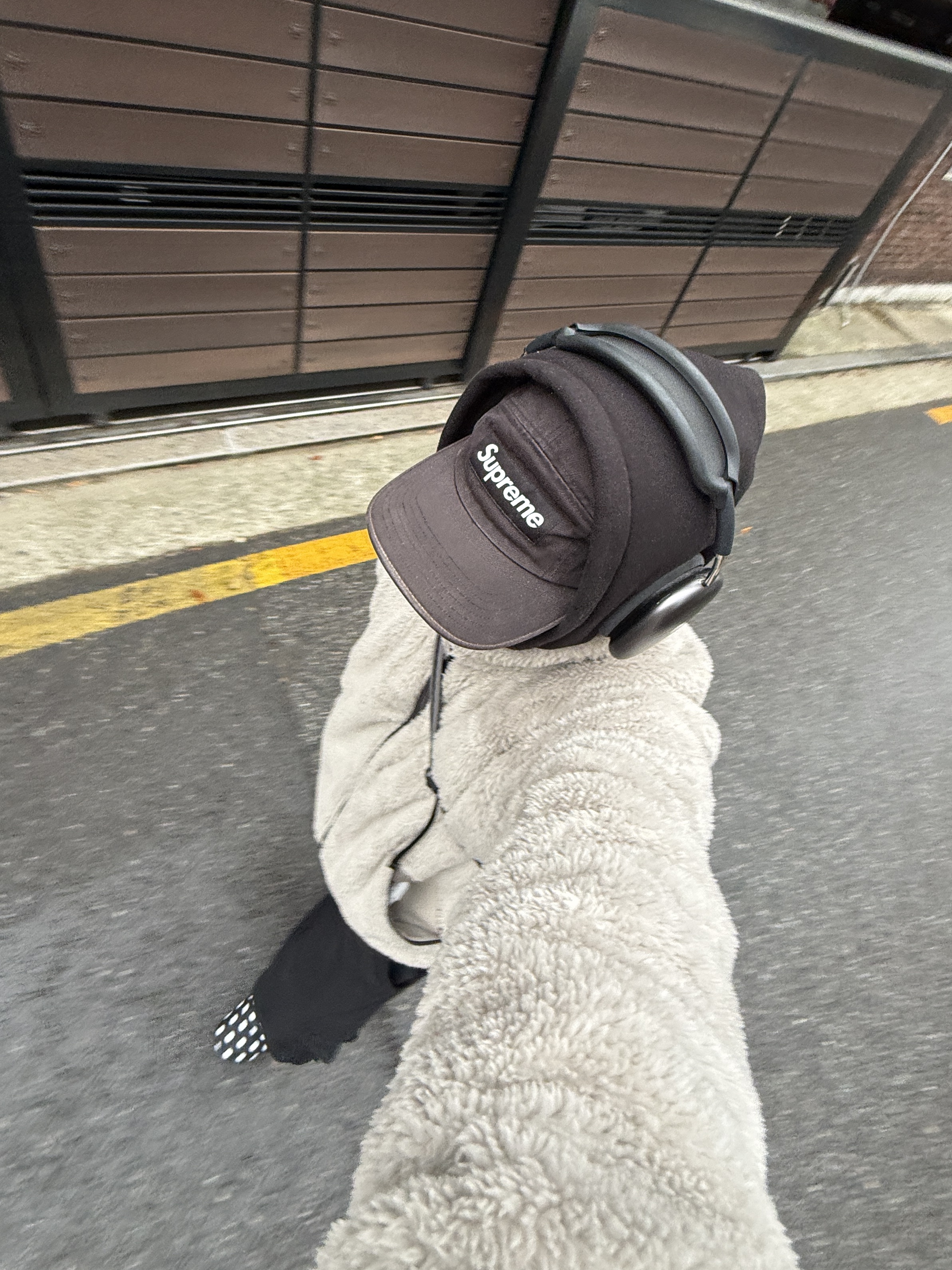 Subu Permanent F-Line Dots, IAB Studio Hoodie Black 착용 스타일 - 2