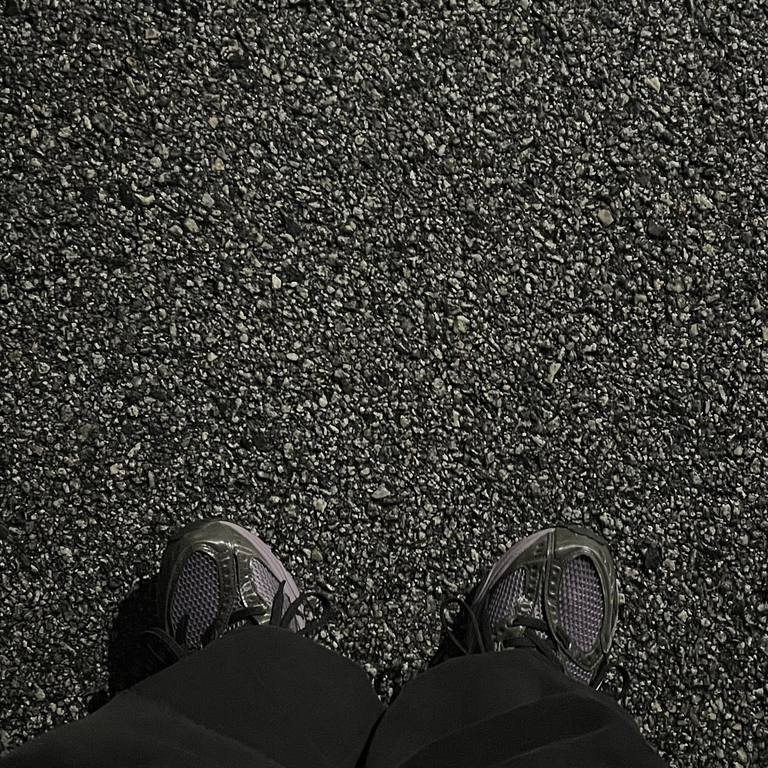 Asics Gel-Nimbus 10.1 Violet Quartz Cool Matcha 착용 스타일