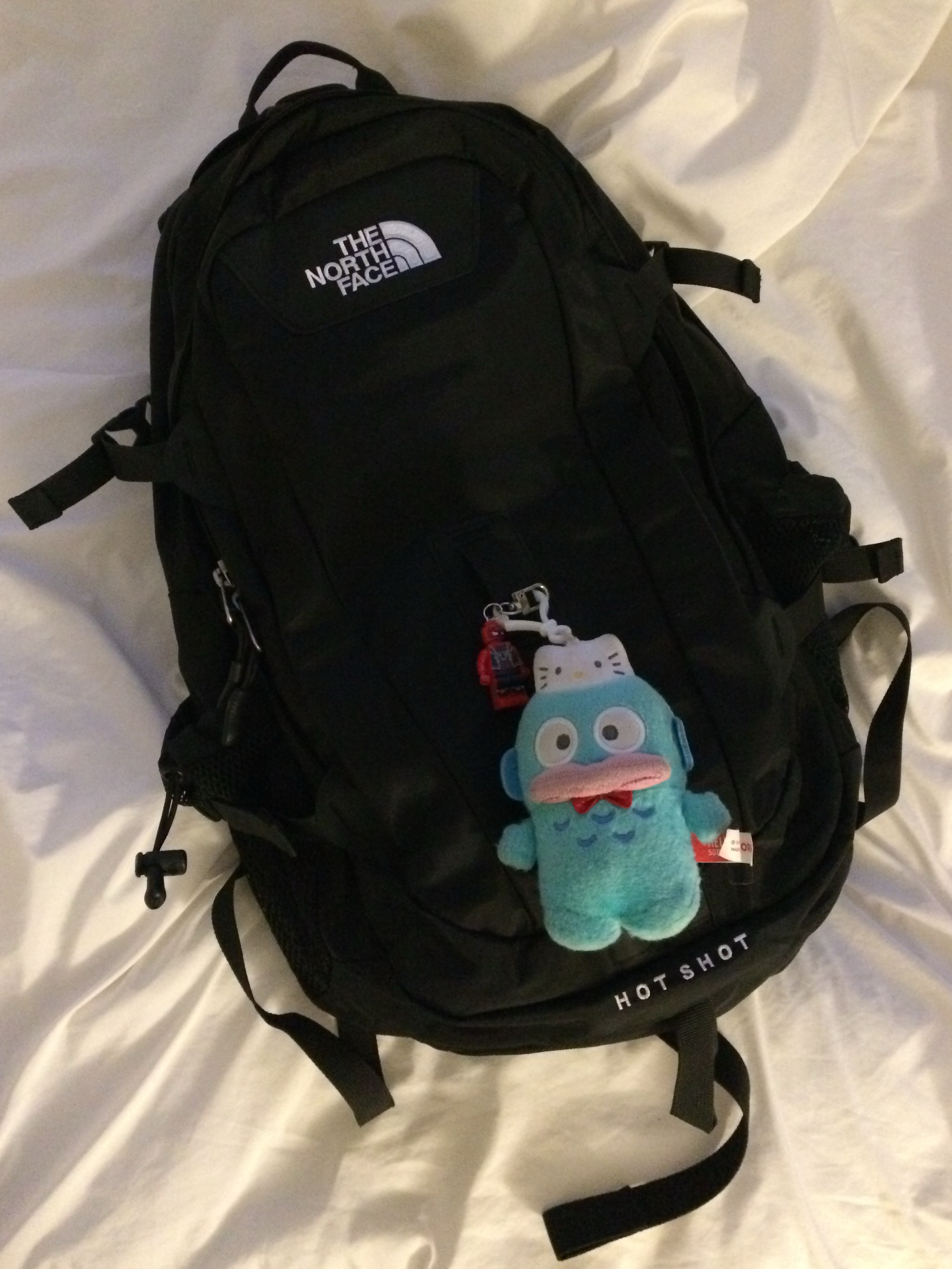 The North Face Hot Shot Black 착용 스타일
