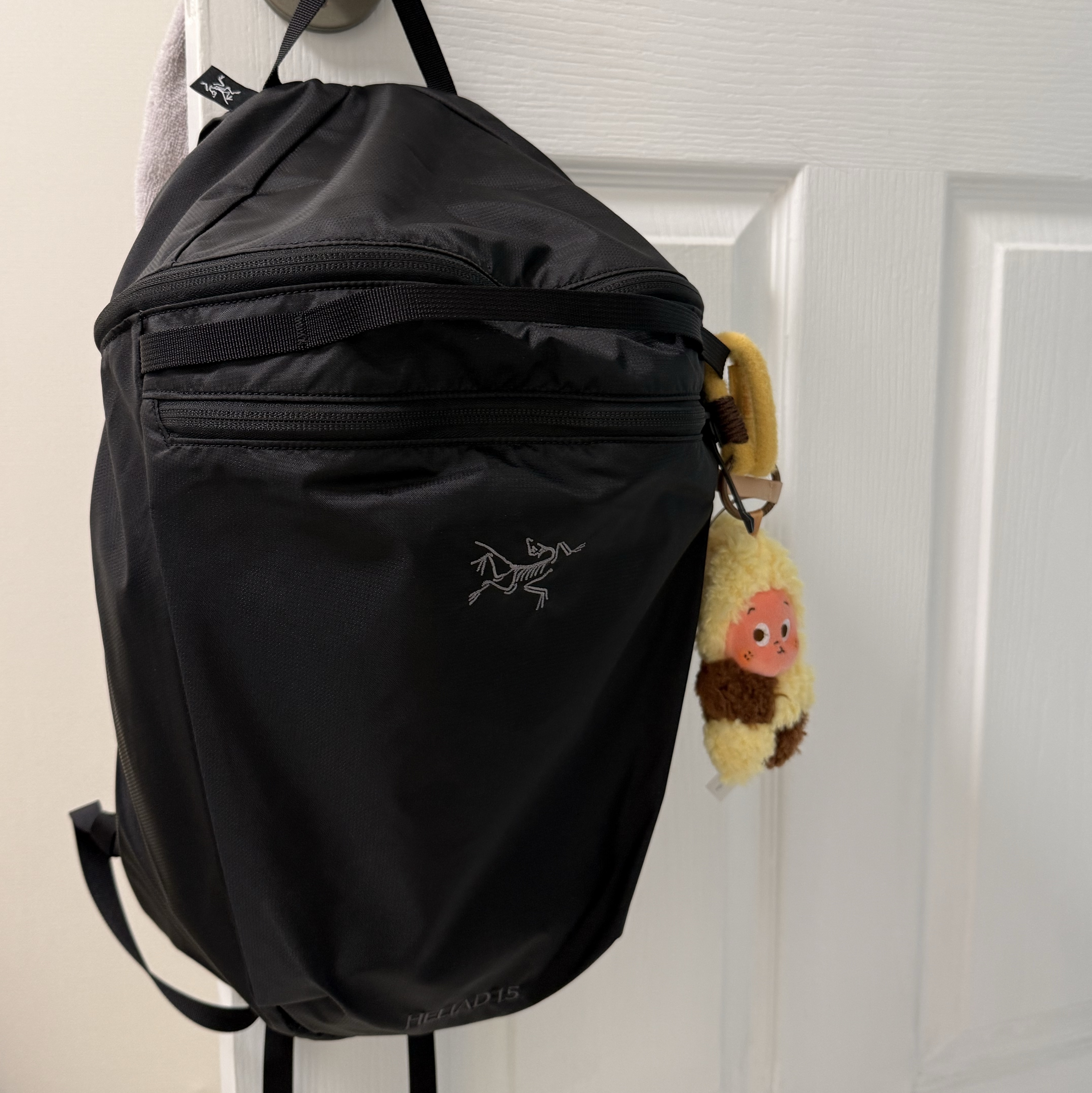 Arc'teryx Heliad 15 Backpack Black, Pop Mart Twinkle Twinkle Savor the Moment Series-Fresh-Baked Mini Cookies Plush Pendant Salty Cookie (Opened Case) 착용 스타일