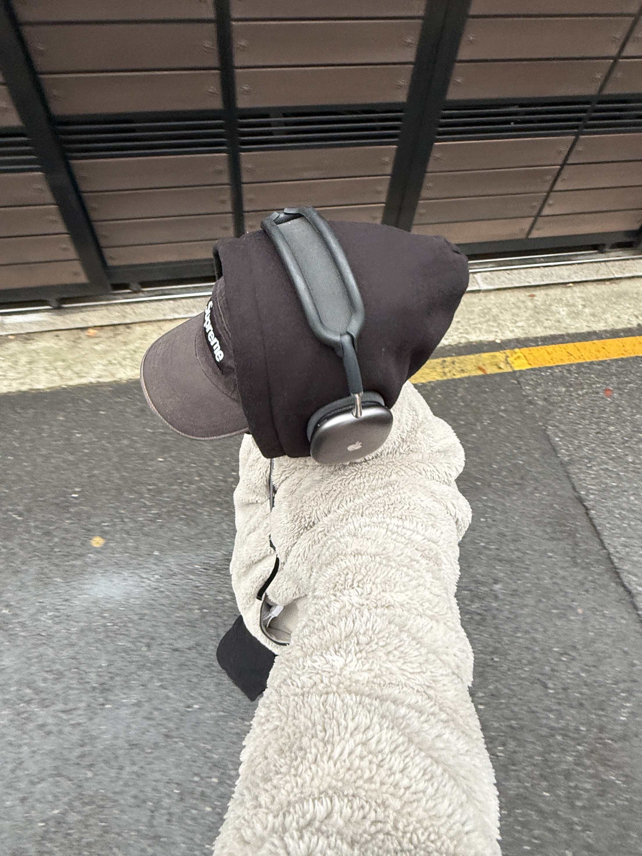Subu Permanent F-Line Dots, IAB Studio Hoodie Black 착용 스타일 - 4