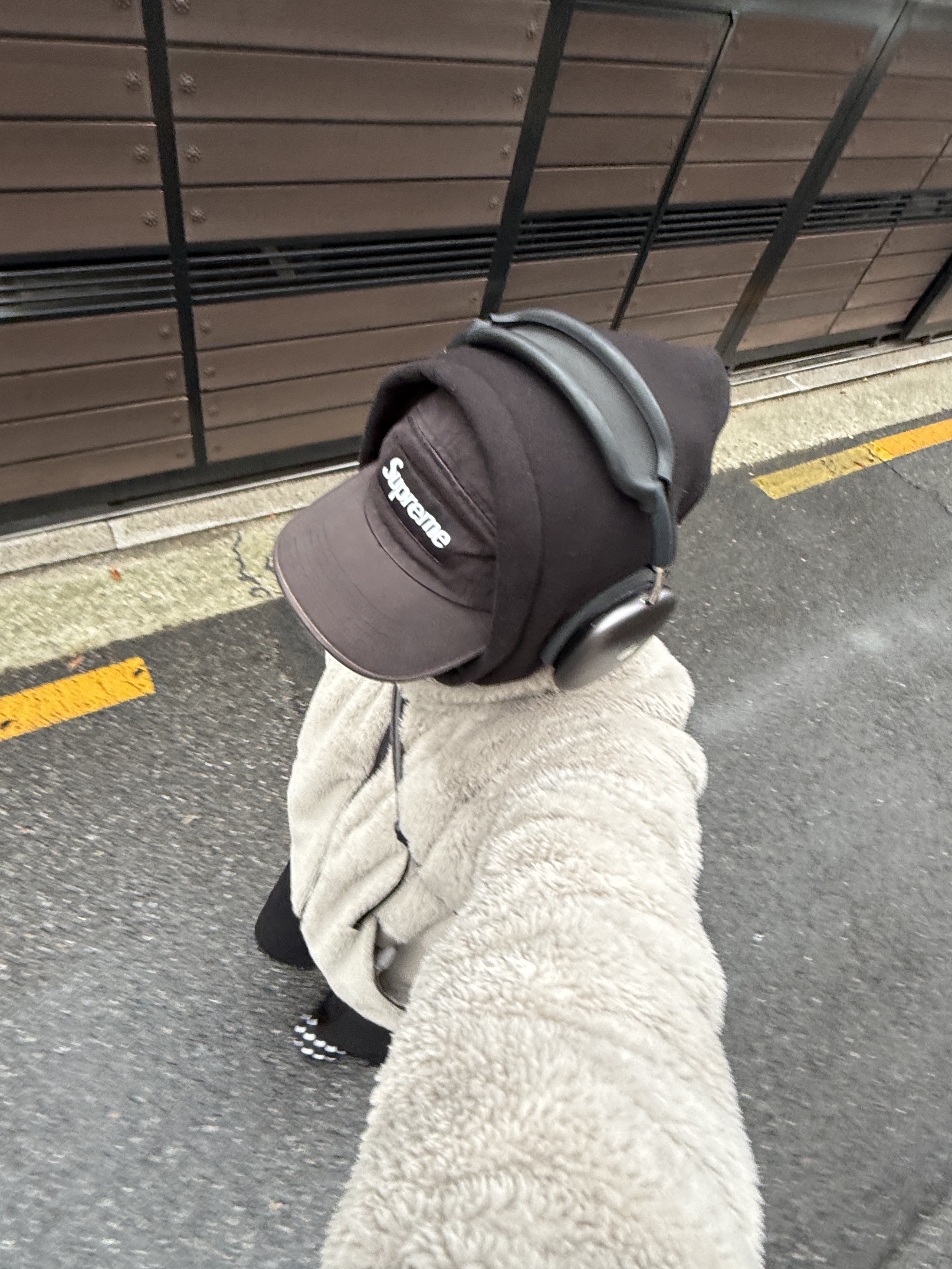 Subu Permanent F-Line Dots, IAB Studio Hoodie Black 착용 스타일 - 6