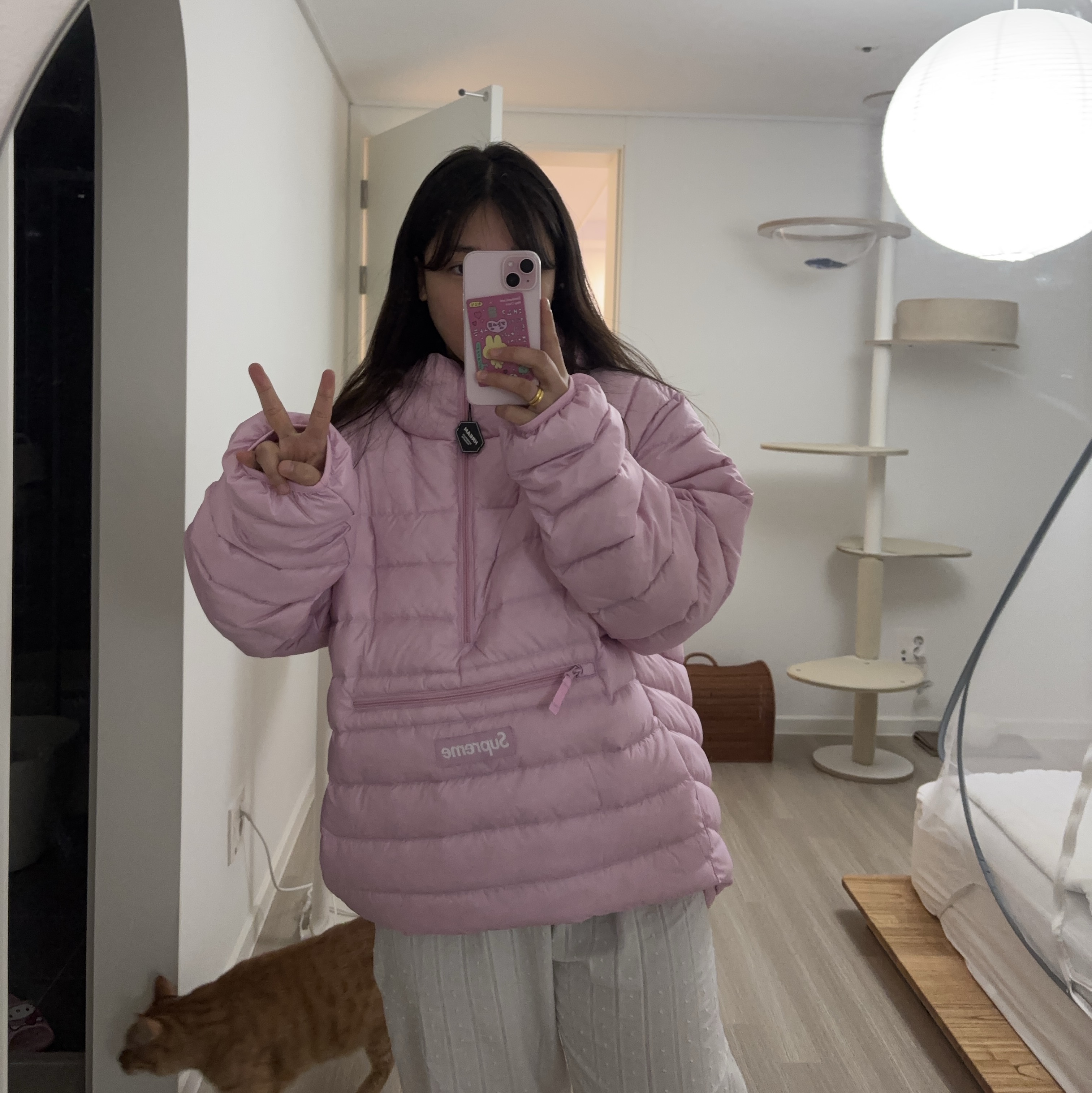 Supreme Micro Down Half Zip Hooded Pullover Light Pink - 25FW 착용 스타일