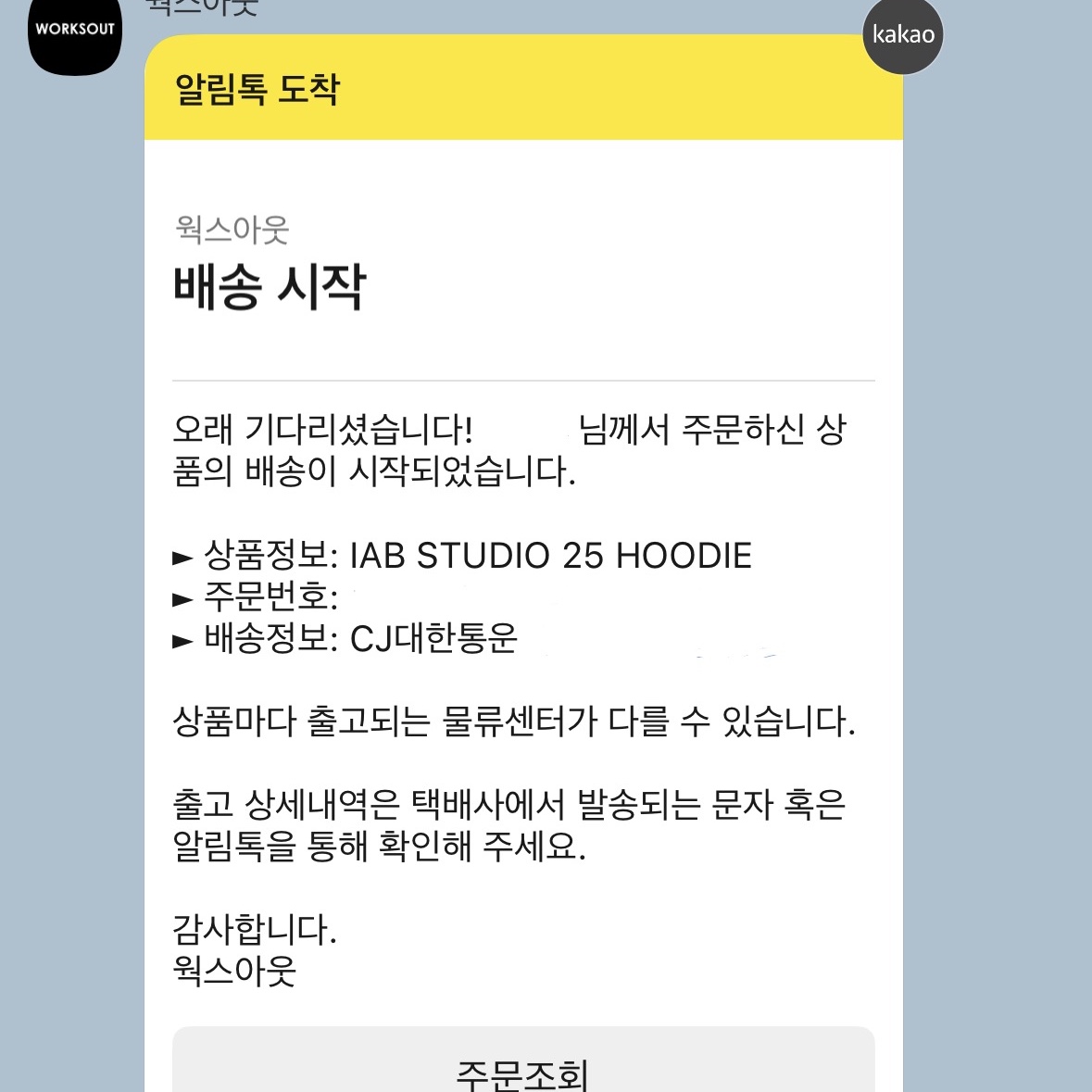 IAB Studio 25 Hoodie Light Gray Navy 착용 스타일