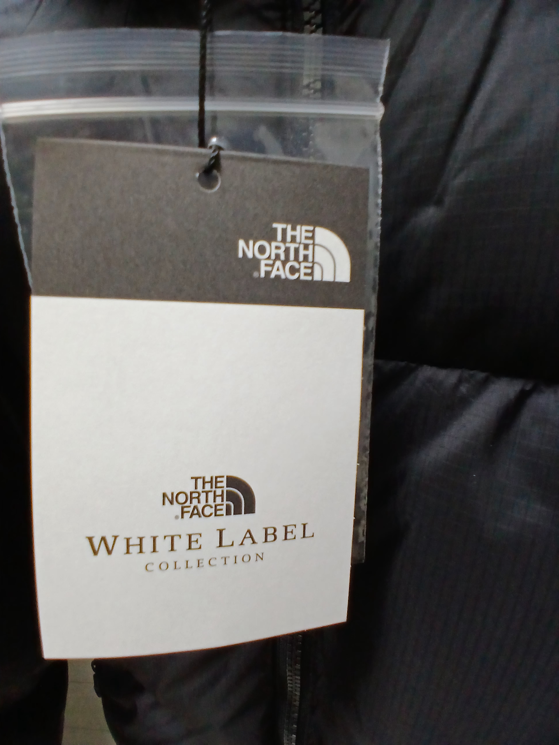 The North Face White Label Project Down Jacket RDS Black - 25FW 착용 스타일 - 3