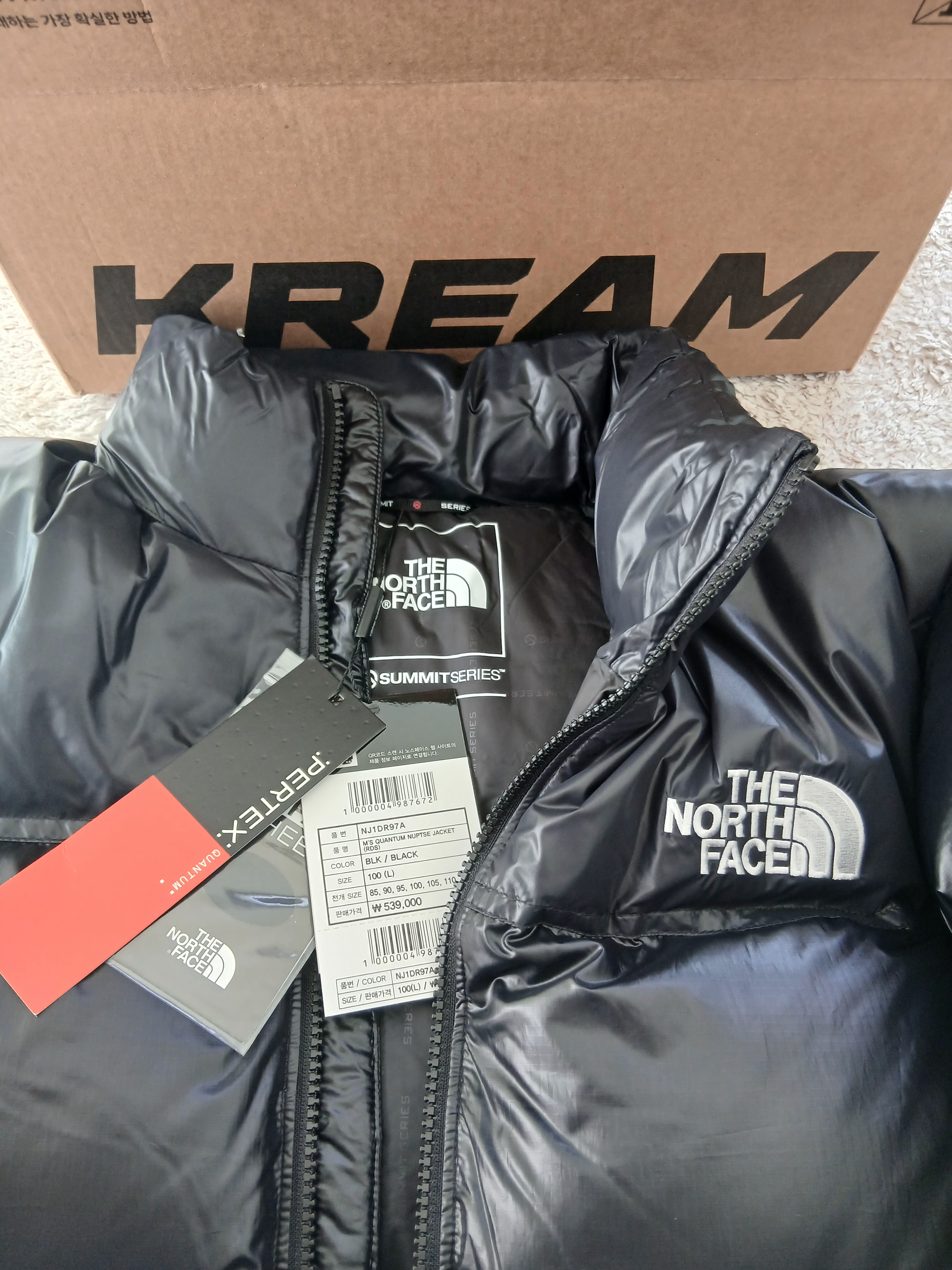 The North Face Quantum Nuptse RDS Jacket Black 착용 스타일 - 2