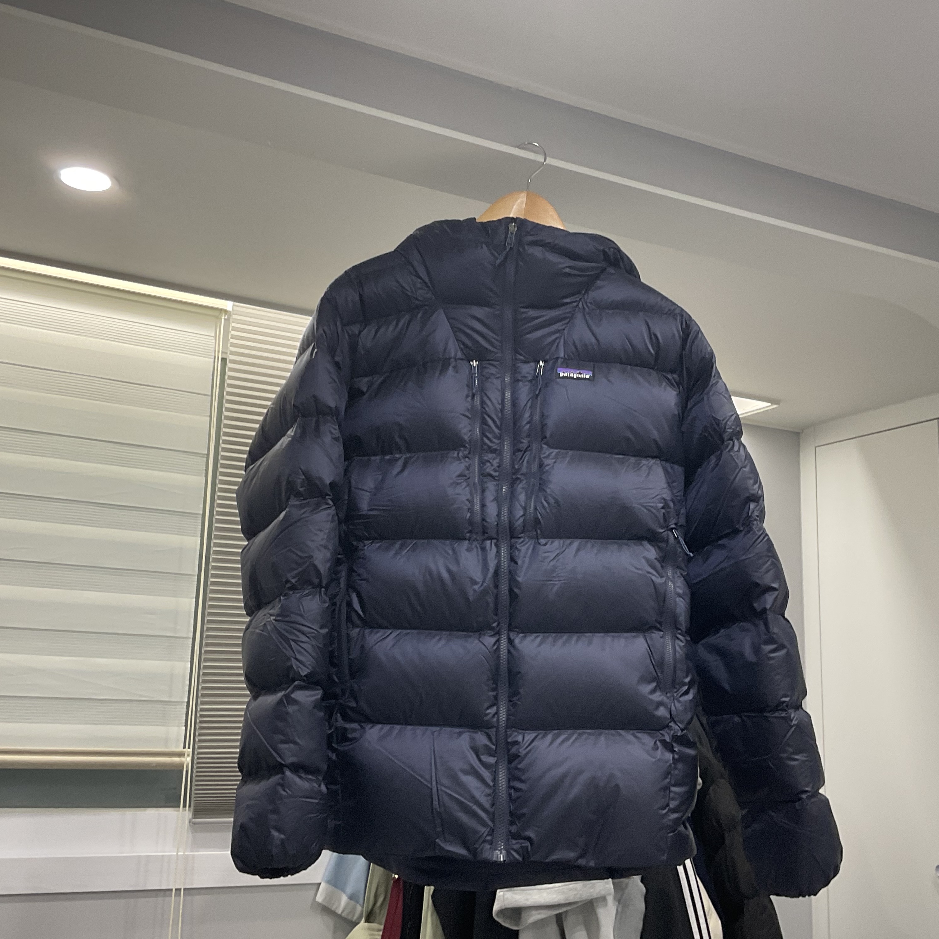 Patagonia Fitz Roy Down Hoody Passage Blue 착용 스타일