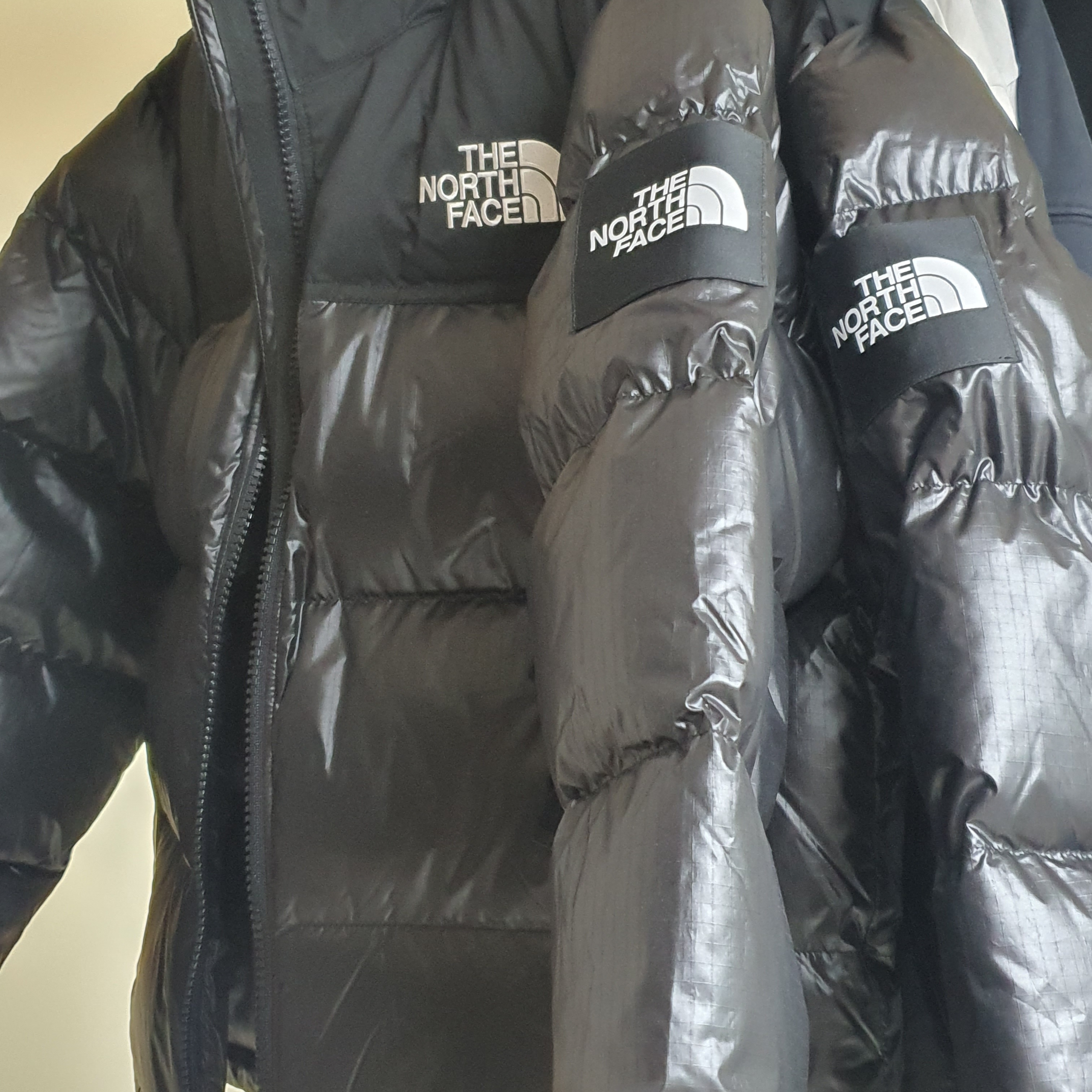 The North Face White Label Novelty Nuptse RDS Down Jacket Black 착용 스타일