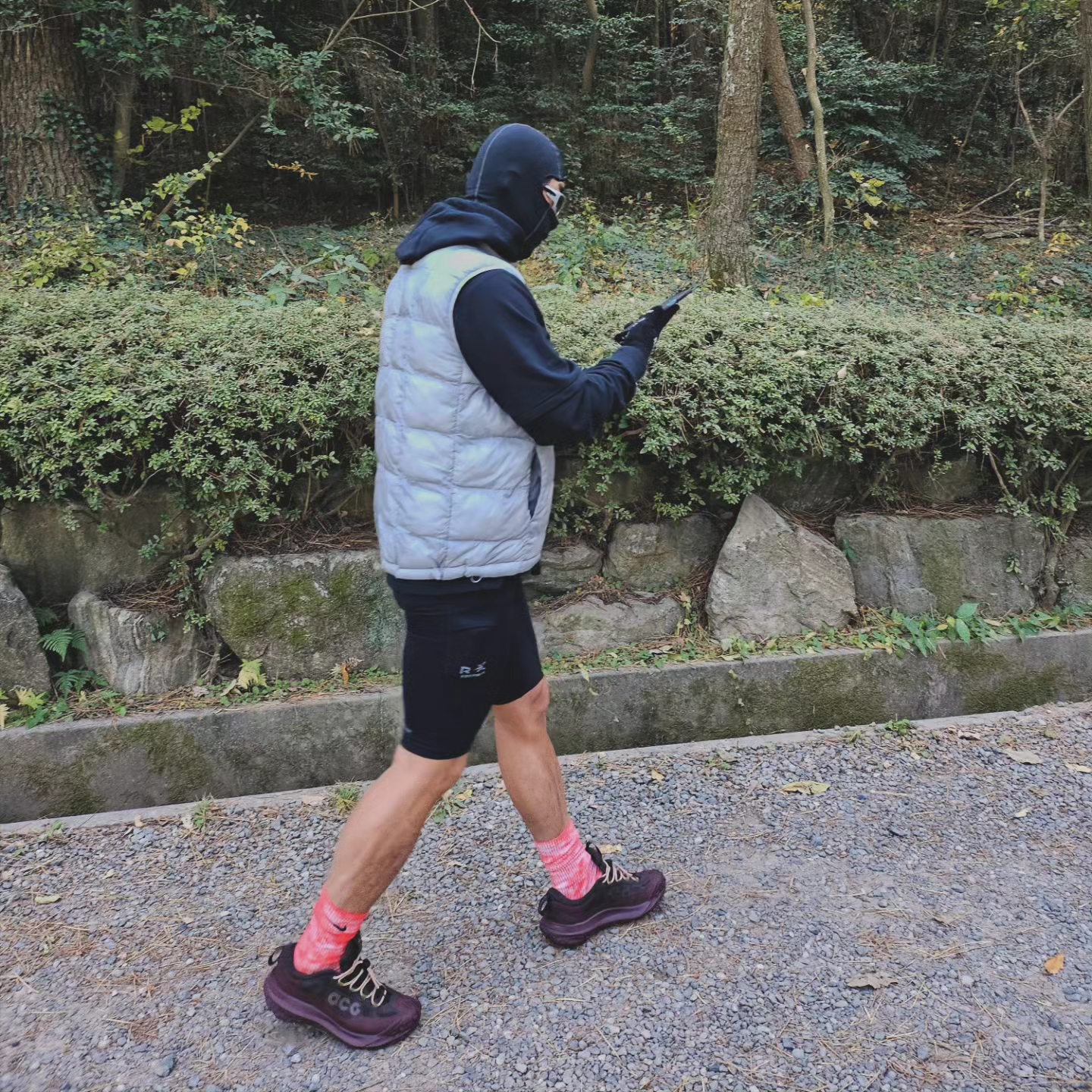 Nike ACG Mountain Fly 2 Low Gore-Tex Burgundy Crush and Velvet Brown 착용 스타일 - 1