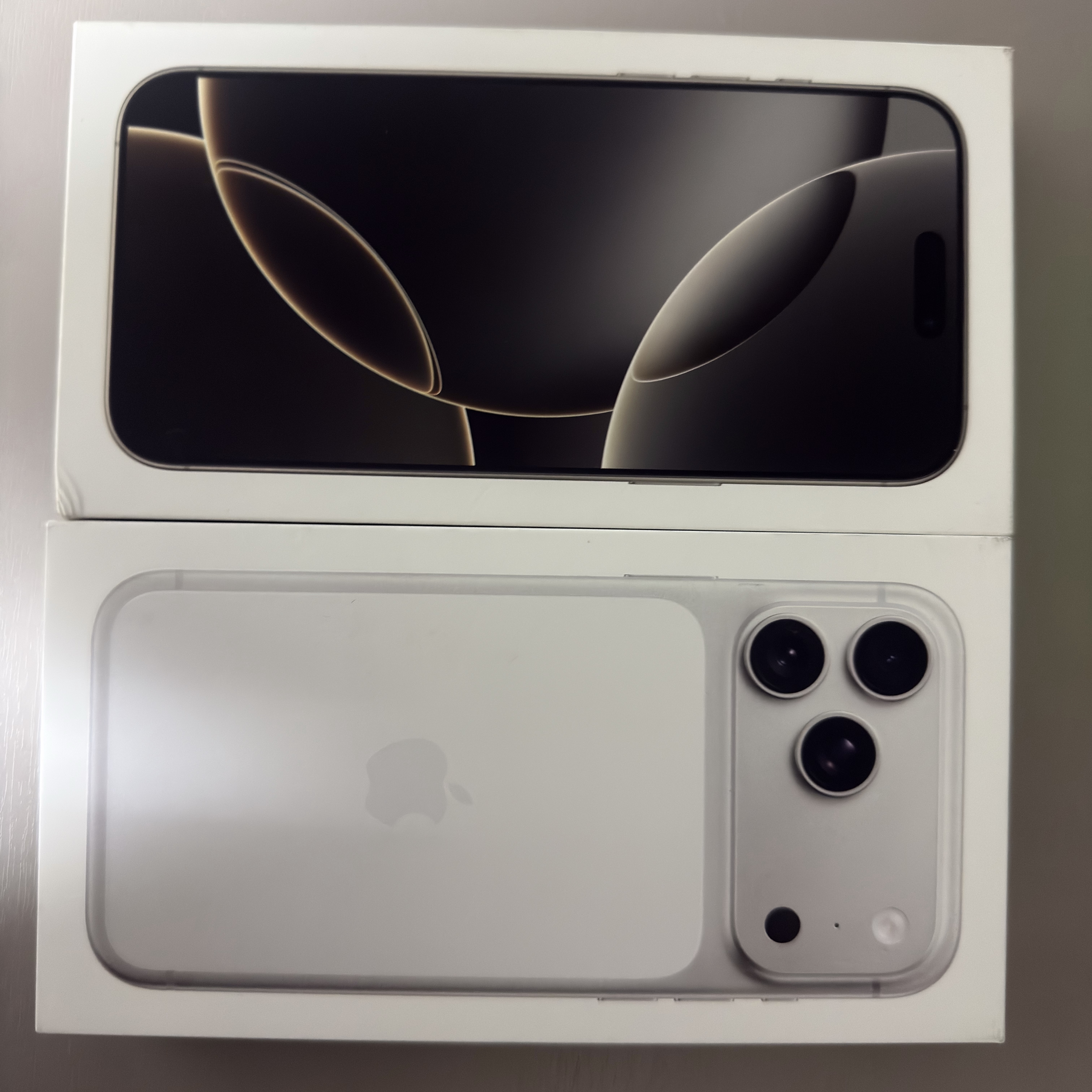 Apple iPhone 16 Pro 256GB Natural Titanium (Korean Ver.), Apple iPhone 17 Pro Max 256GB Silver 착용 스타일