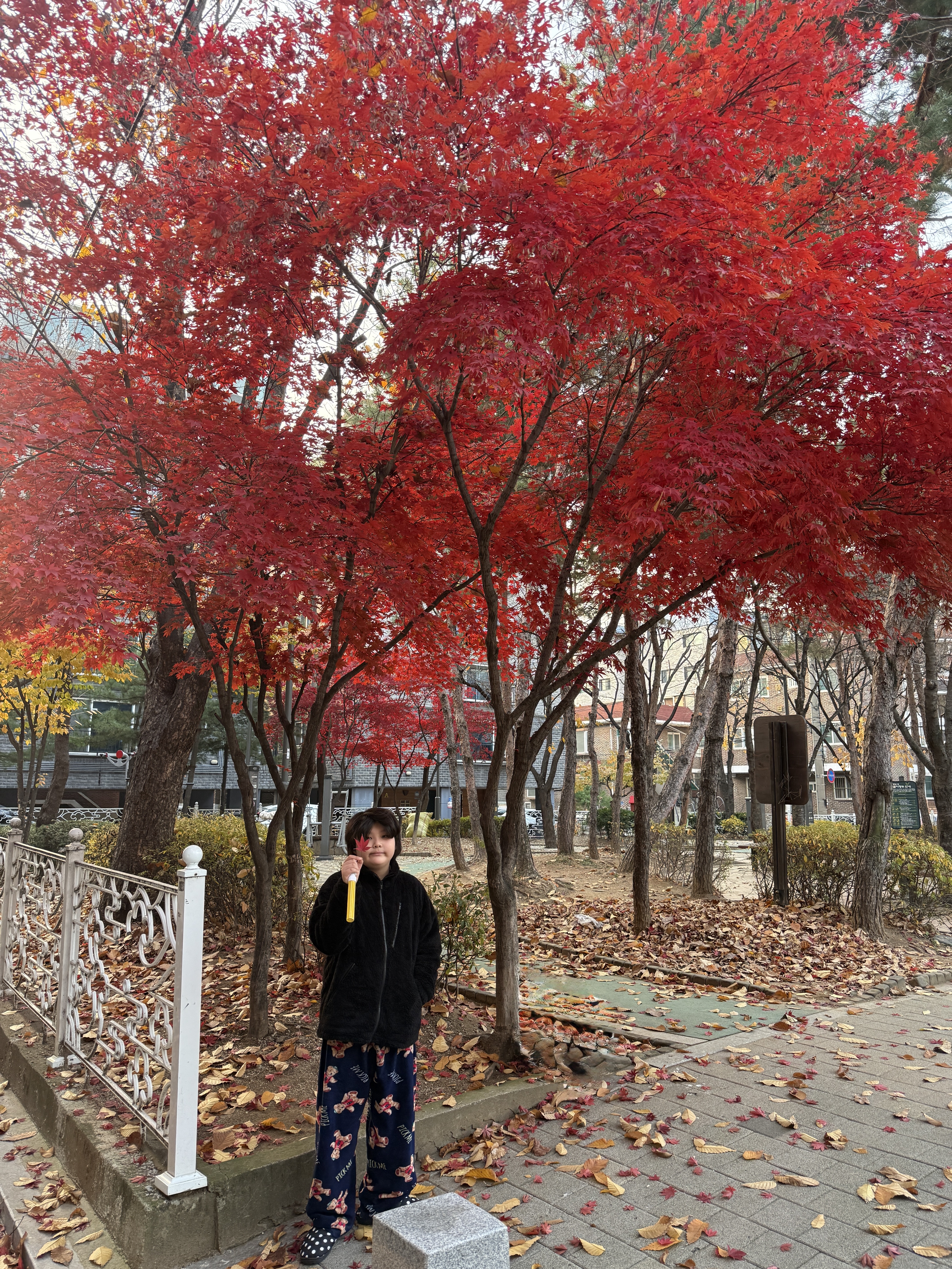 Subu Permanent F-Line Dots, Uniqlo x Needles Fleece Jacket Black - KR 착용 스타일 - 6