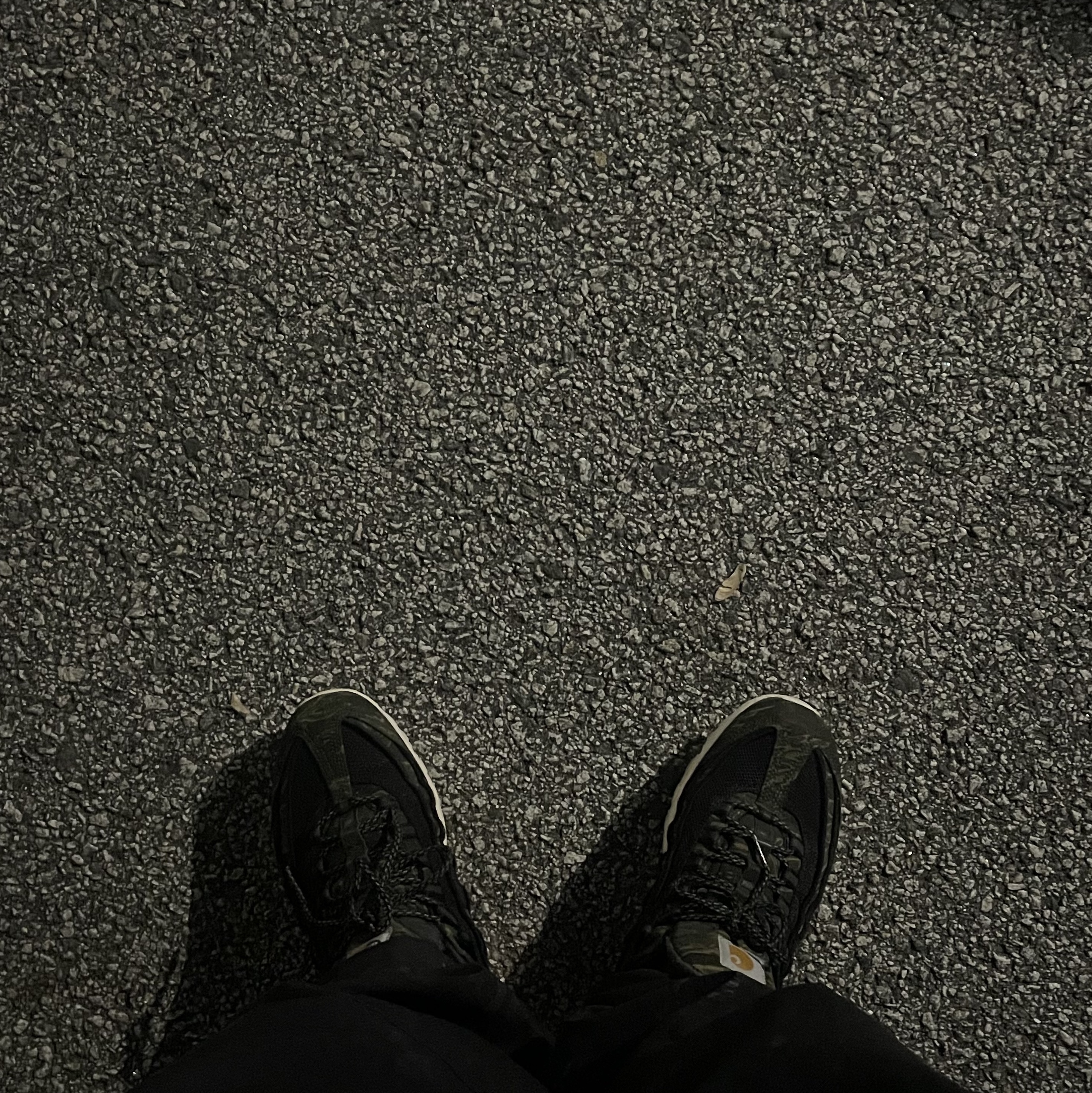 Nike x Carhartt WIP Air Max 95 Camo 착용 스타일