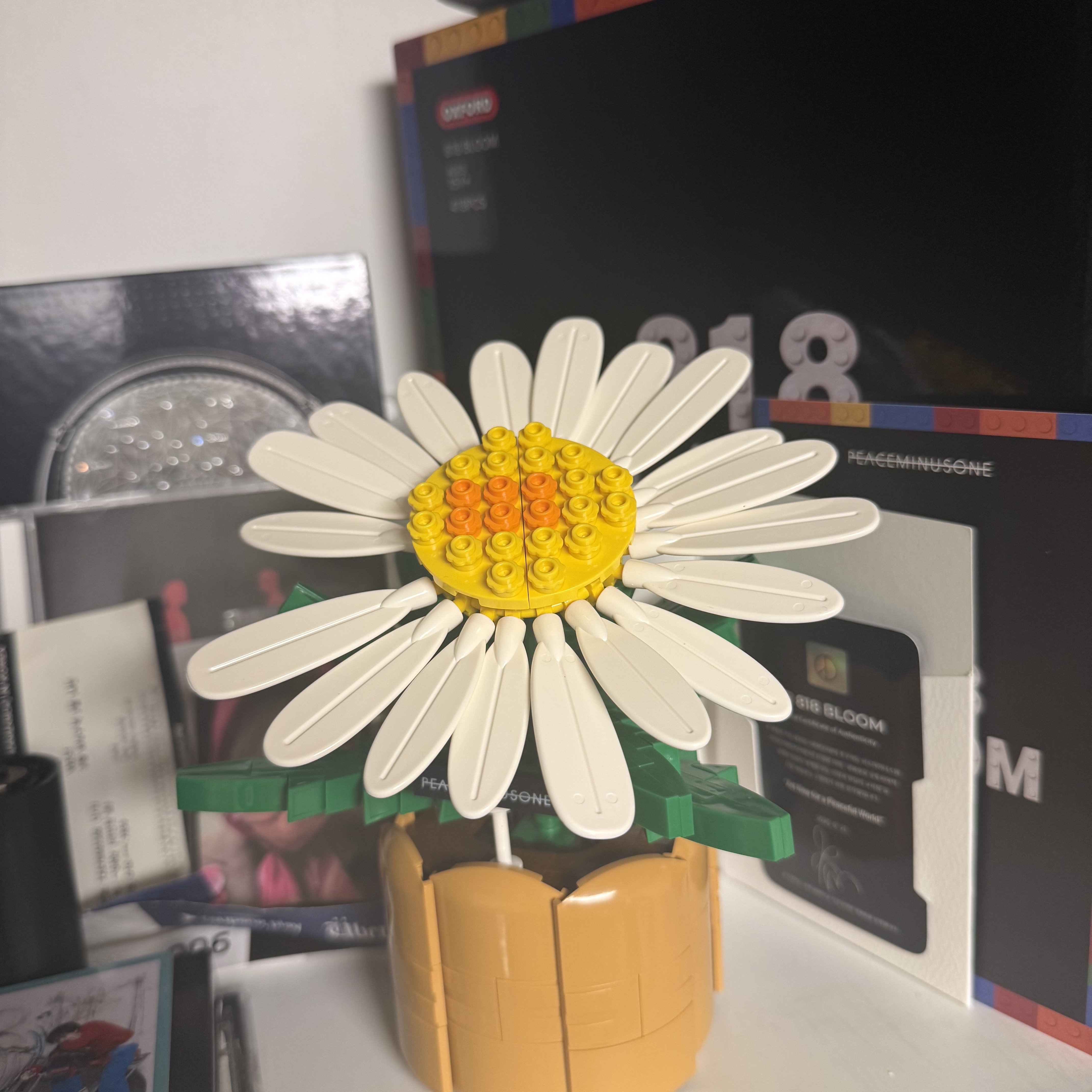 Oxford x Peaceminusone 818 Bloom 착용 스타일