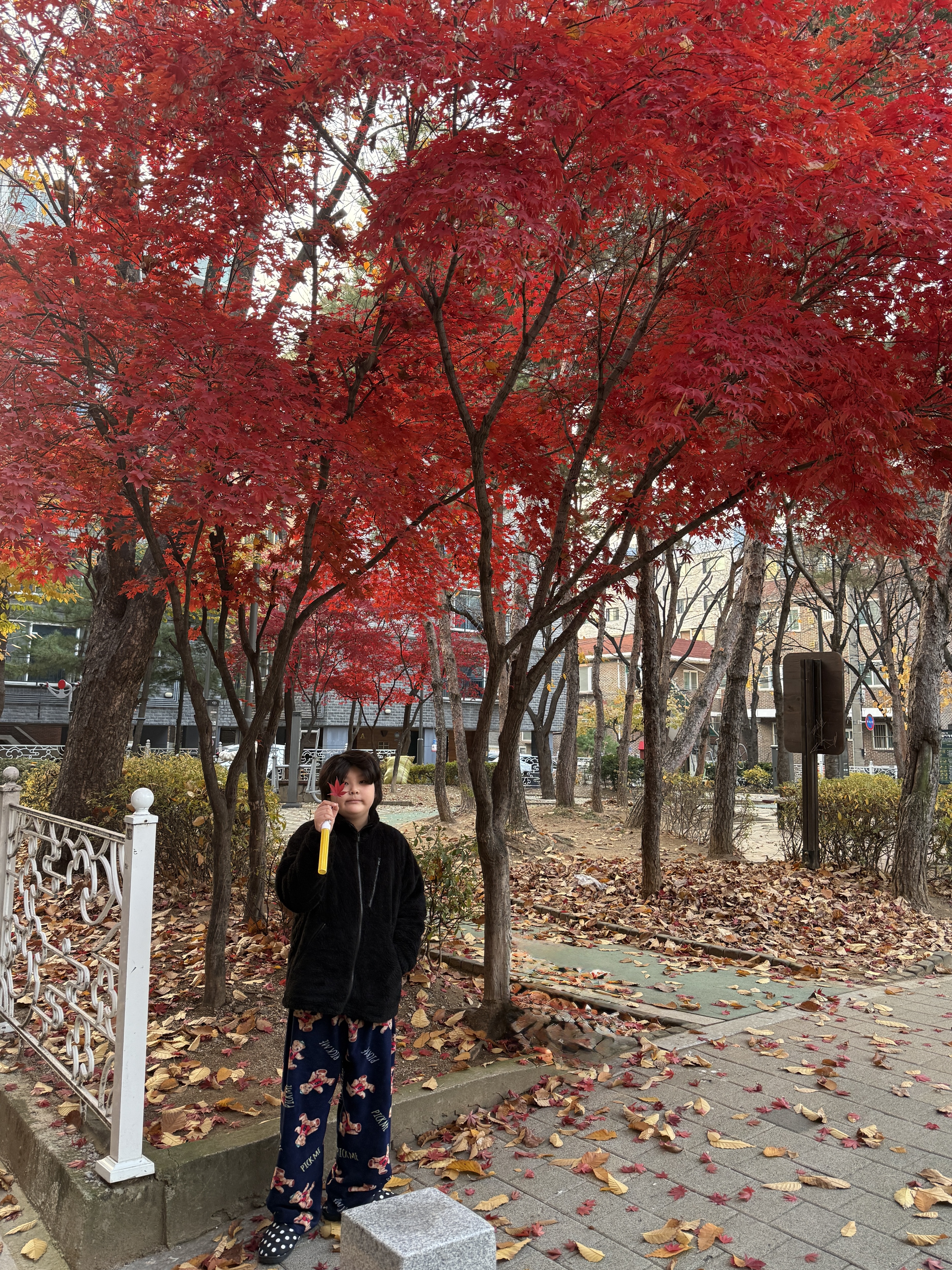 Subu Permanent F-Line Dots, Uniqlo x Needles Fleece Jacket Black - KR 착용 스타일 - 1