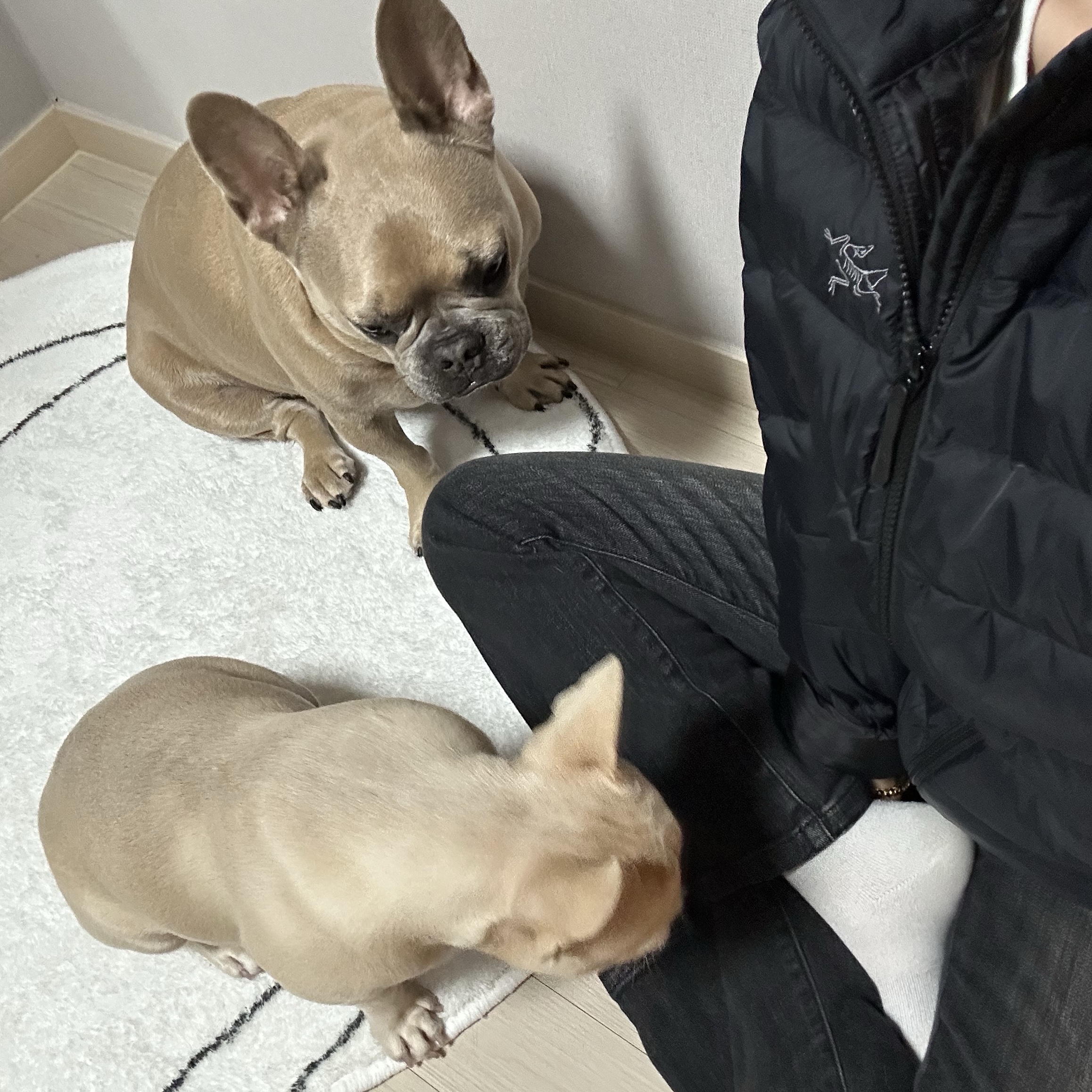 Arc'teryx Thorium Hoody Black 착용 스타일 - 3