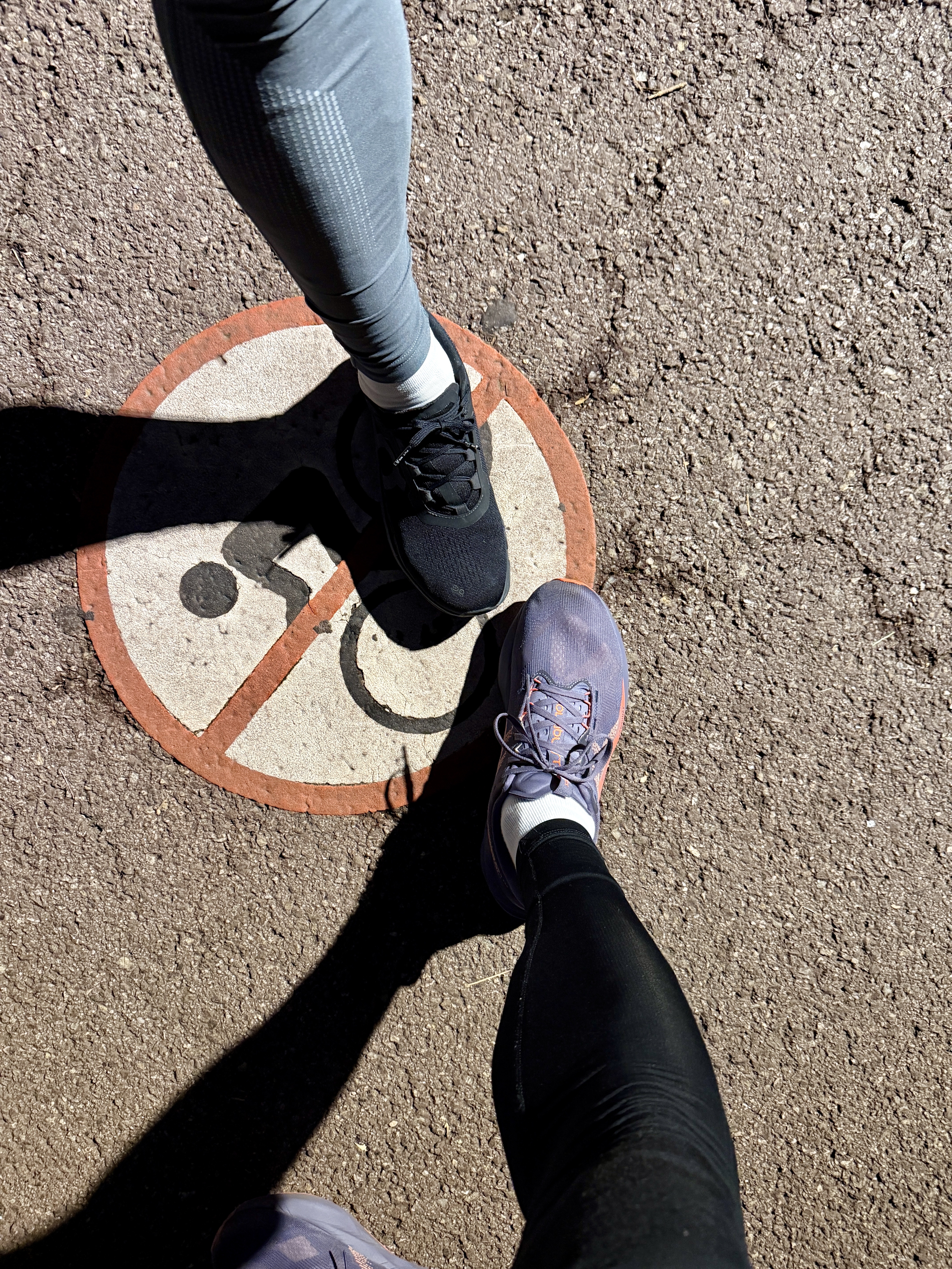 Asics Novablast 5 Greyish Purple Coral Reef, On Running Cloudmonster 2 Black 착용 스타일