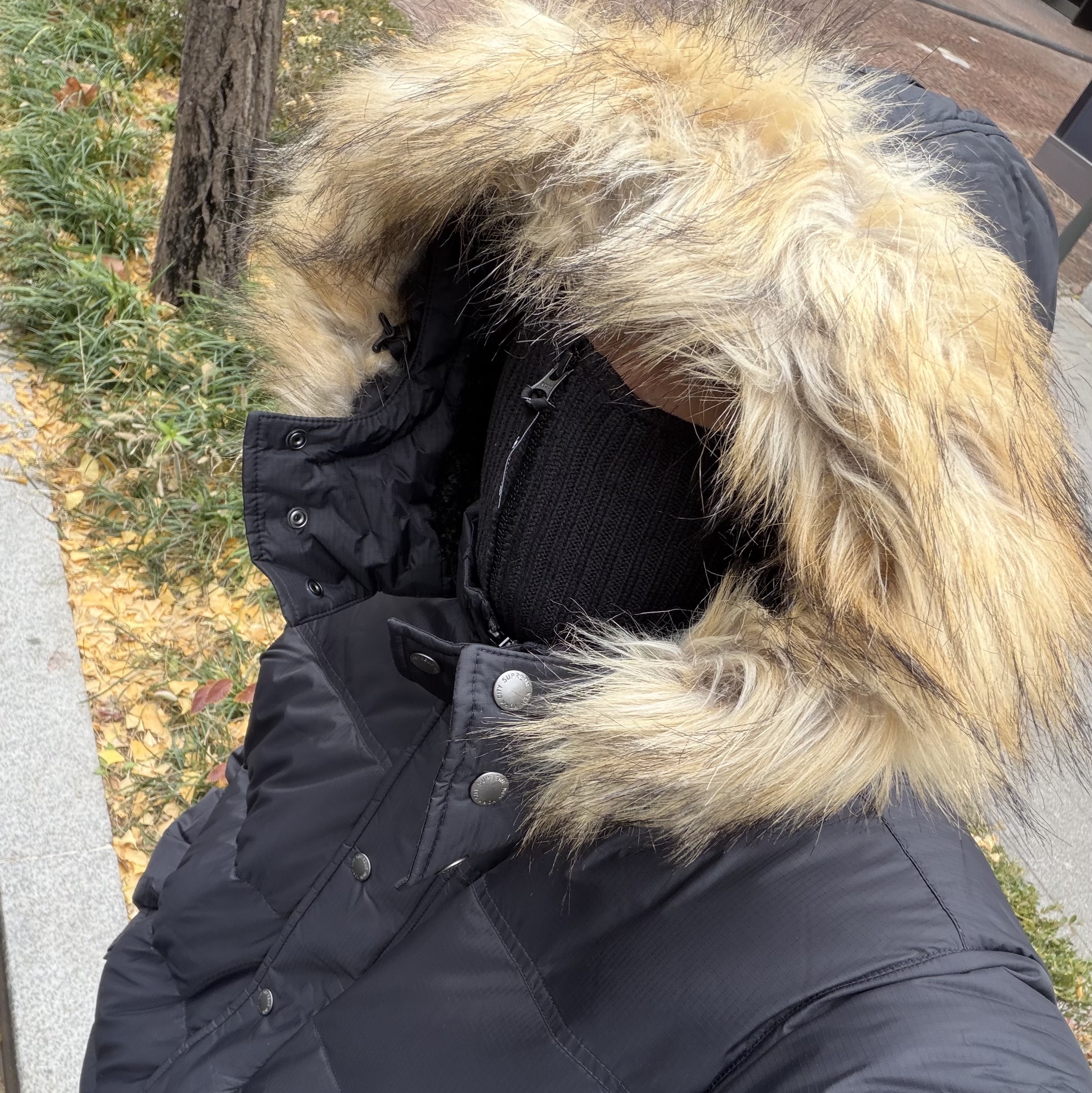 Supreme Facemask 700-Fill Down Puffer Jacket Black - 25FW 착용 스타일 - 2