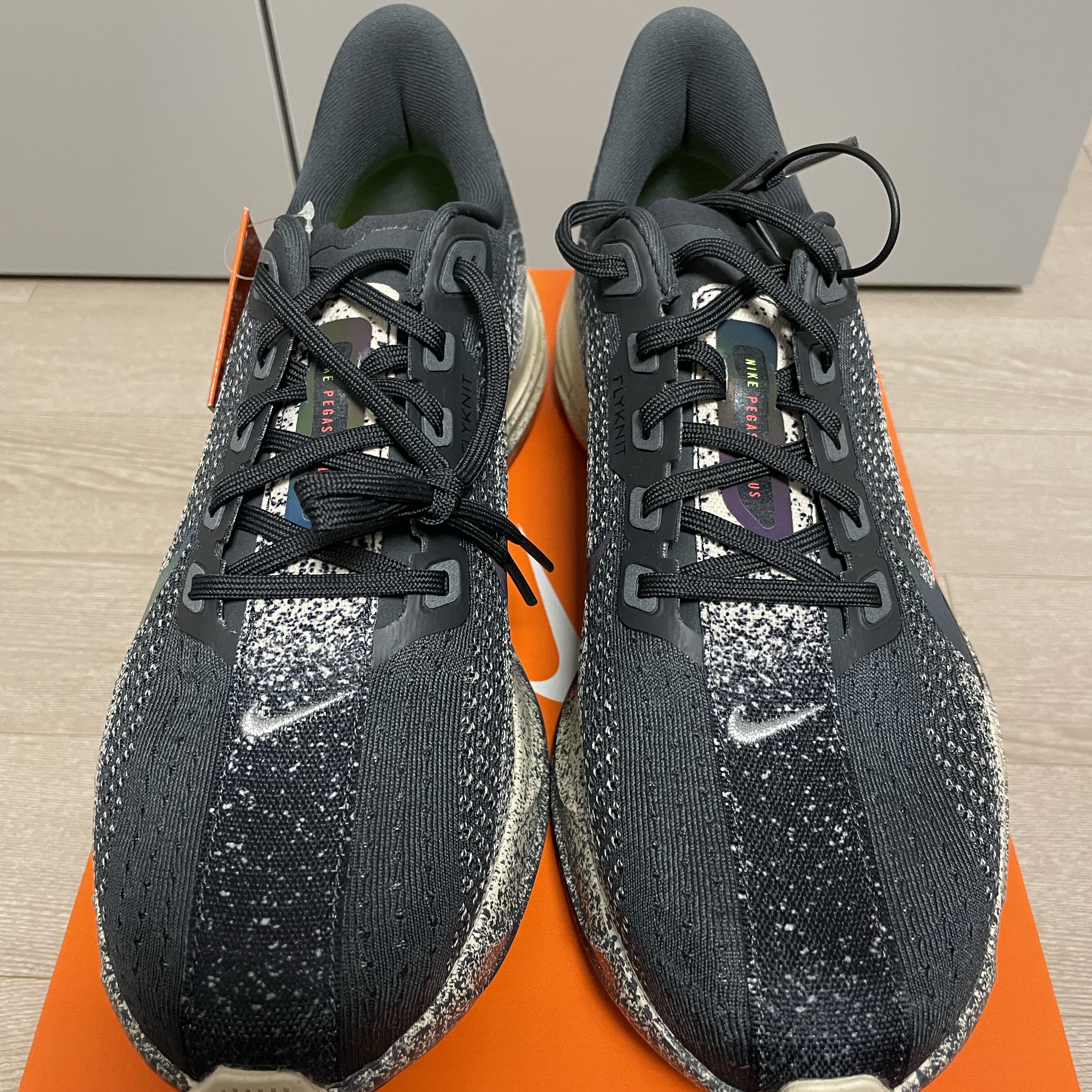 Nike Pegasus Plus Oatmeal Anthracite 착용 스타일 - 3