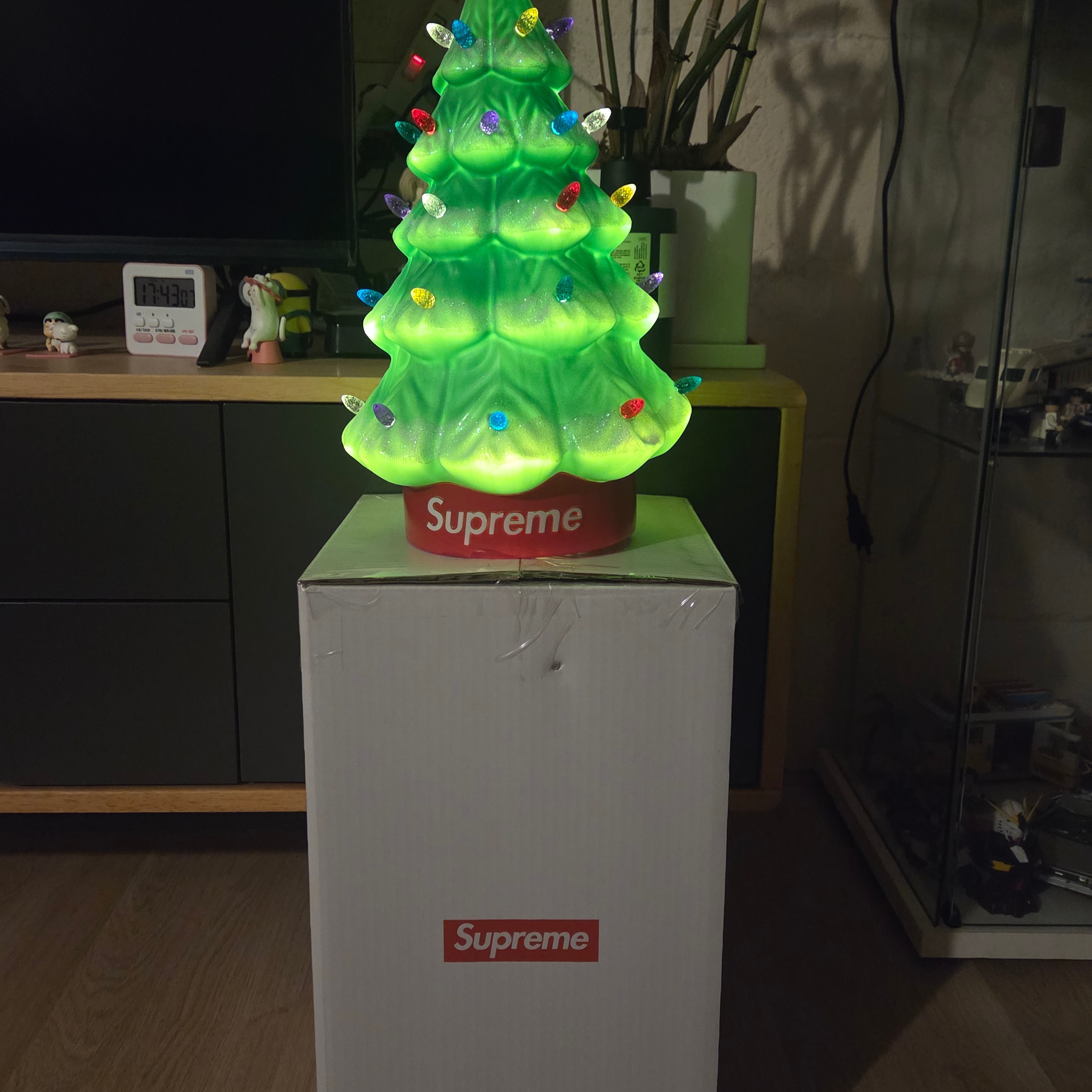 Supreme 15" Holiday Tree Green - 25FW 착용 스타일