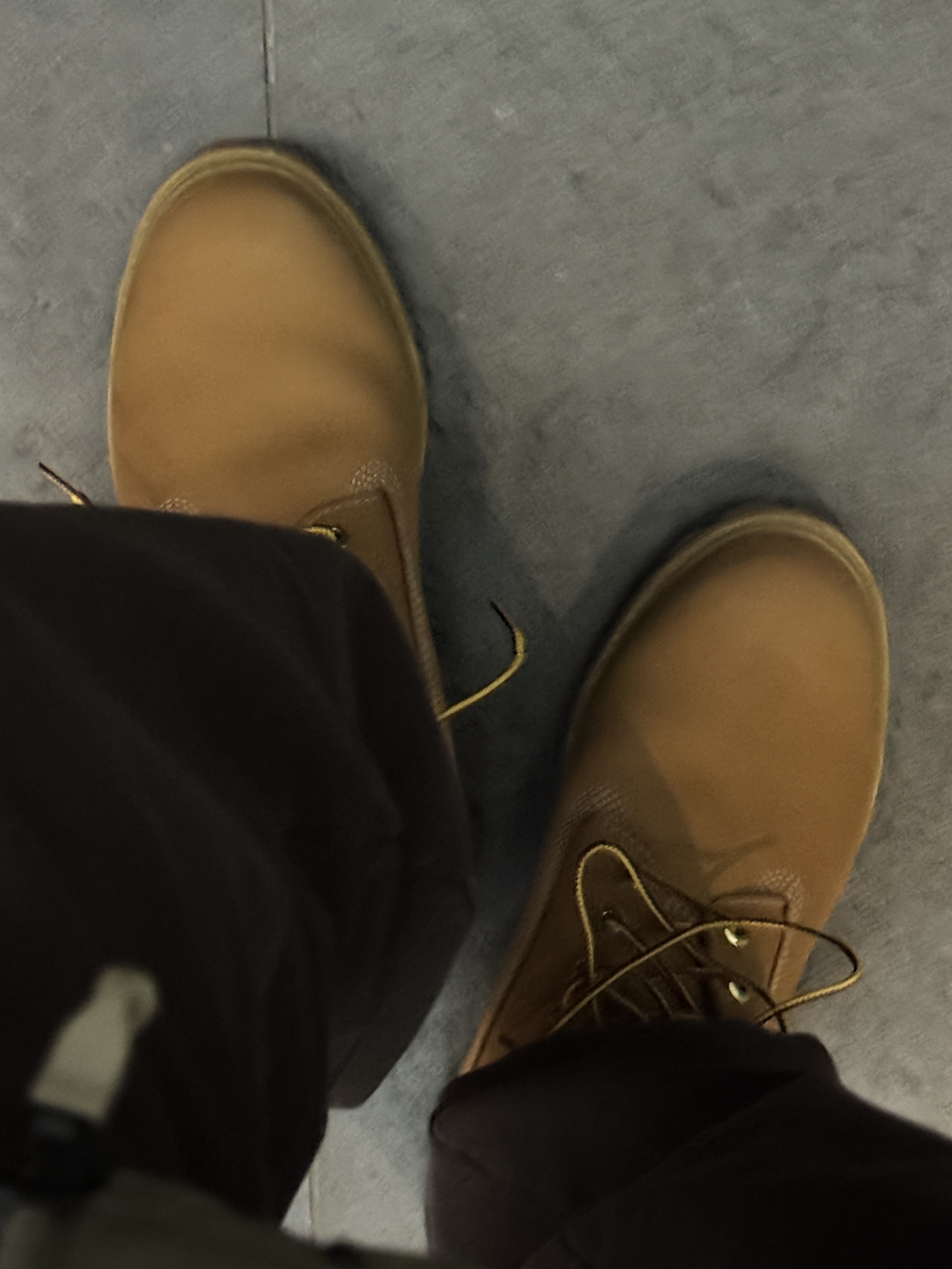 Timberland Premium 6 inch Waterproof Boot Wheat Nubuck - Wide 착용 스타일