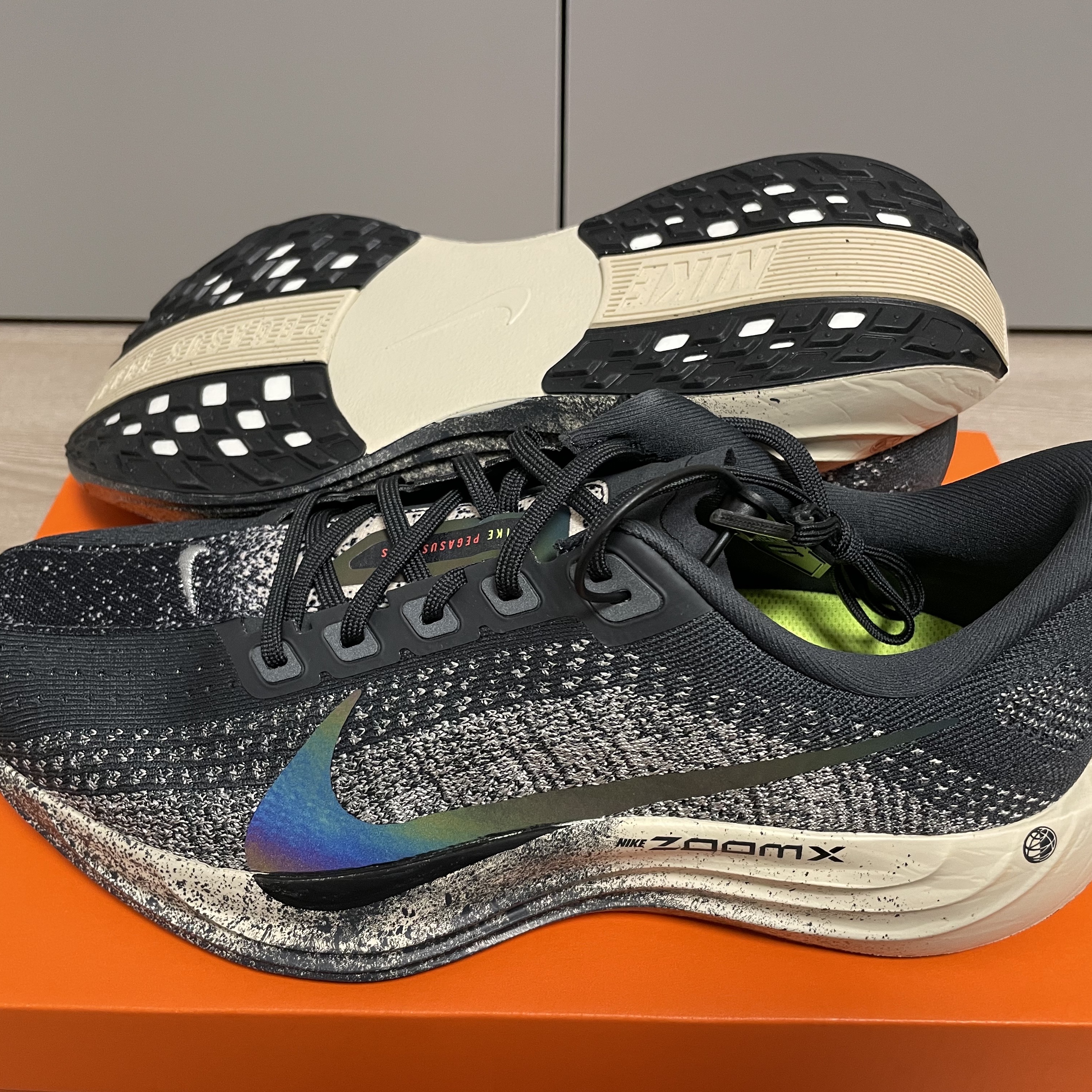 Nike Pegasus Plus Oatmeal Anthracite 착용 스타일 - 2