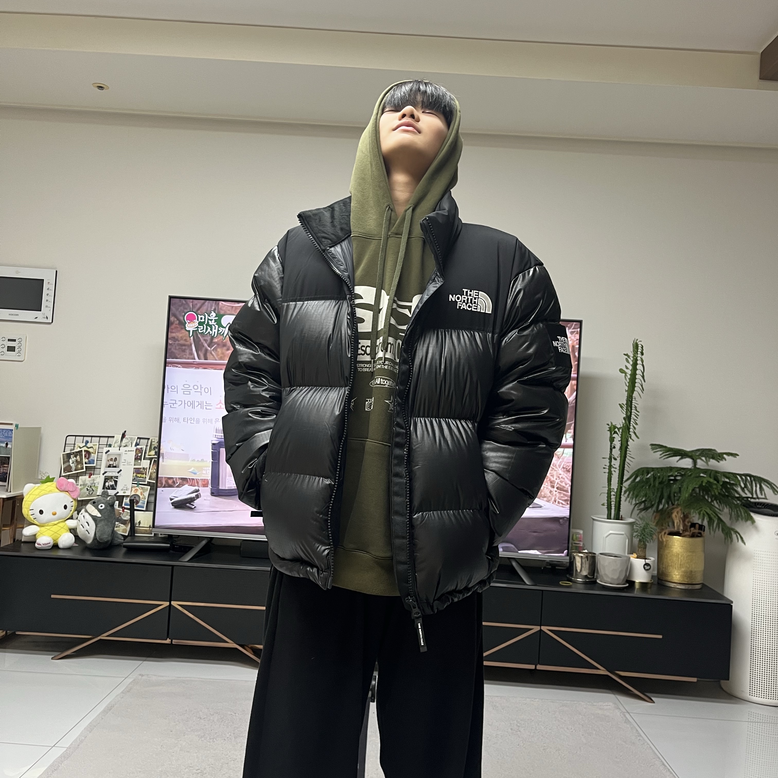 The North Face White Label Novelty Nuptse RDS Down Jacket Black 착용 스타일