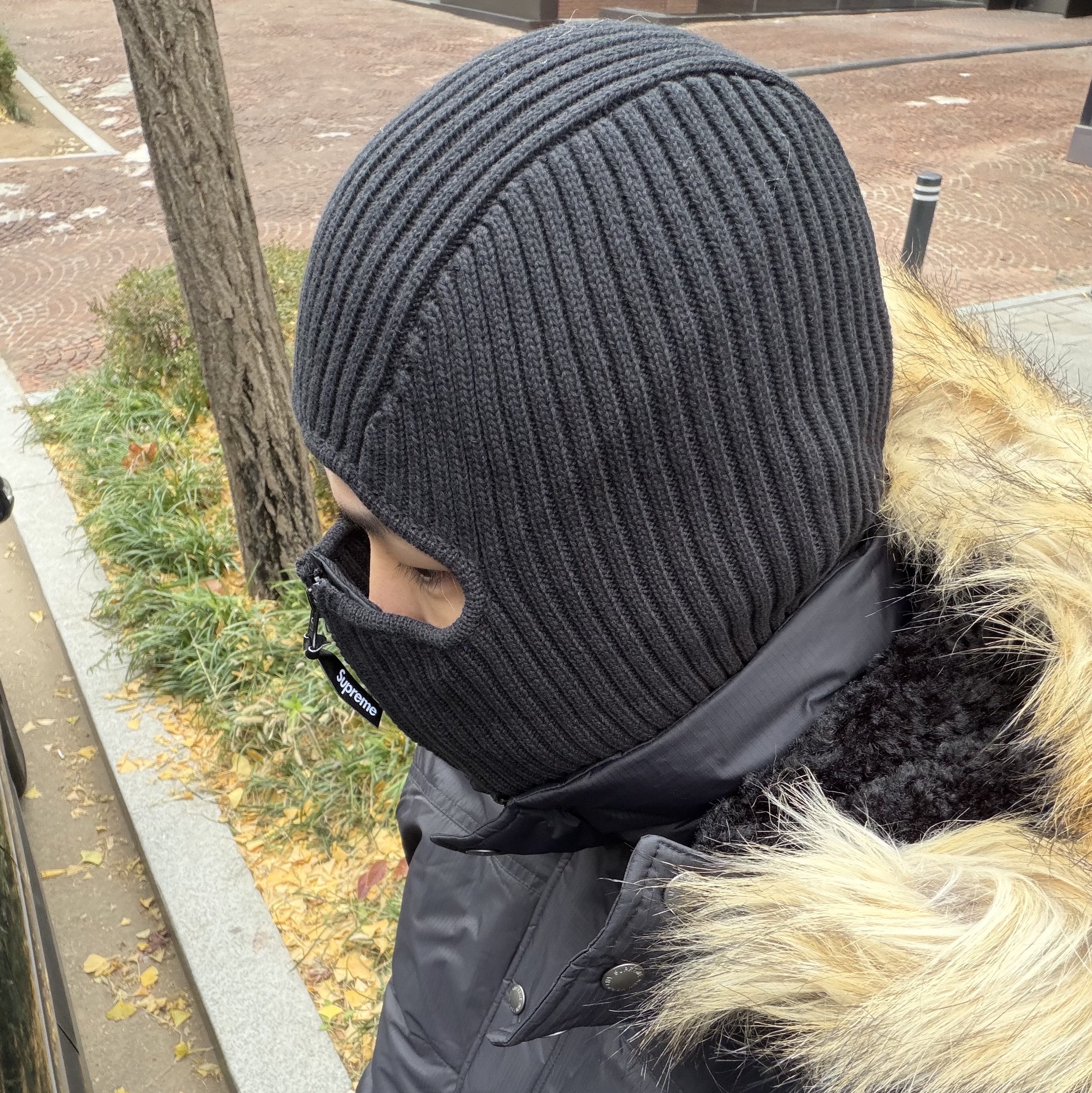 Supreme Facemask 700-Fill Down Puffer Jacket Black - 25FW 착용 스타일 - 1