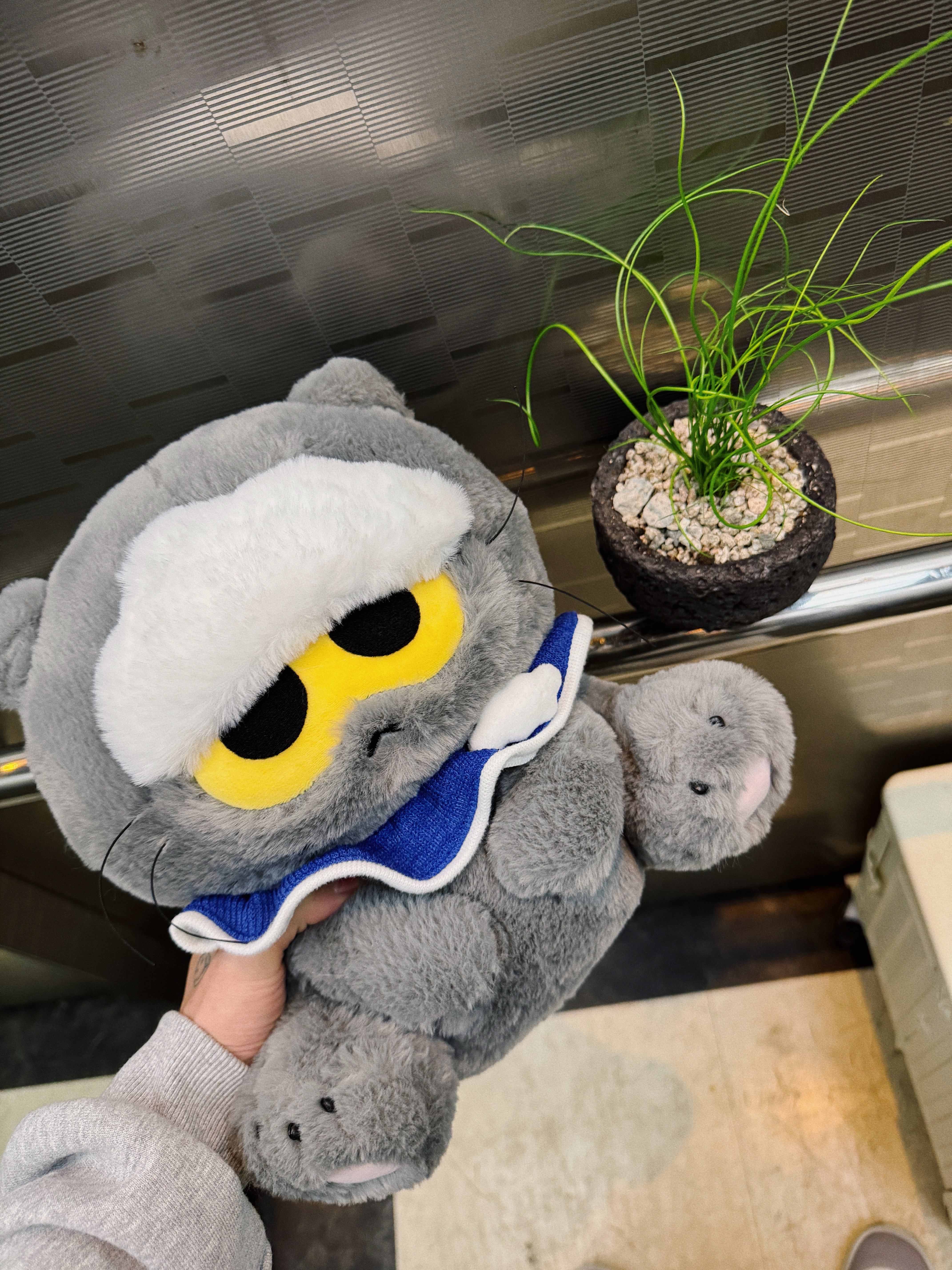 Yeezy HD-10 Grey - Korea Limited, Zo&Friends Zoa Medium Plush Grey 착용 스타일 - 2