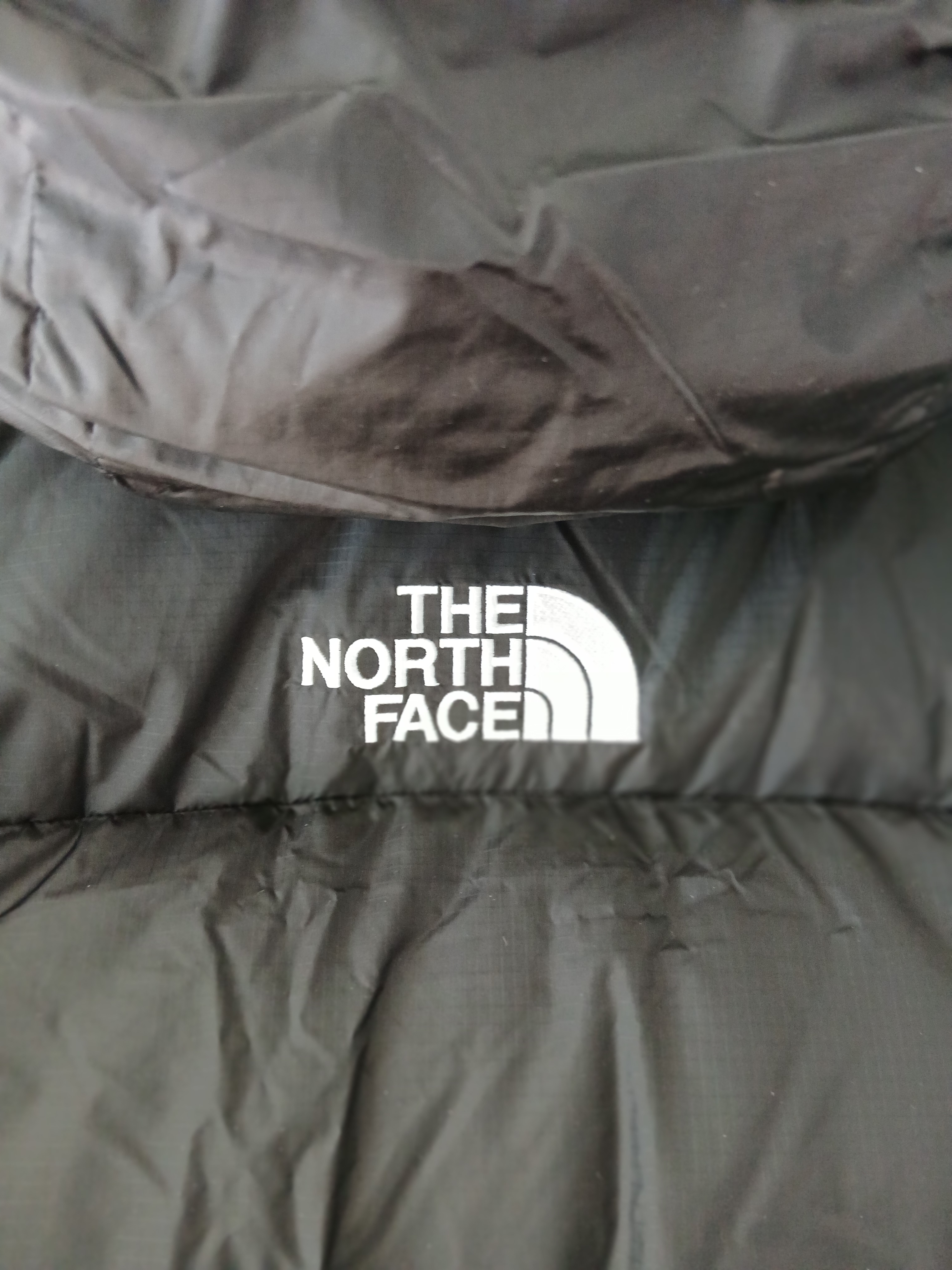 The North Face White Label Project Down Jacket RDS Black - 25FW 착용 스타일 - 7