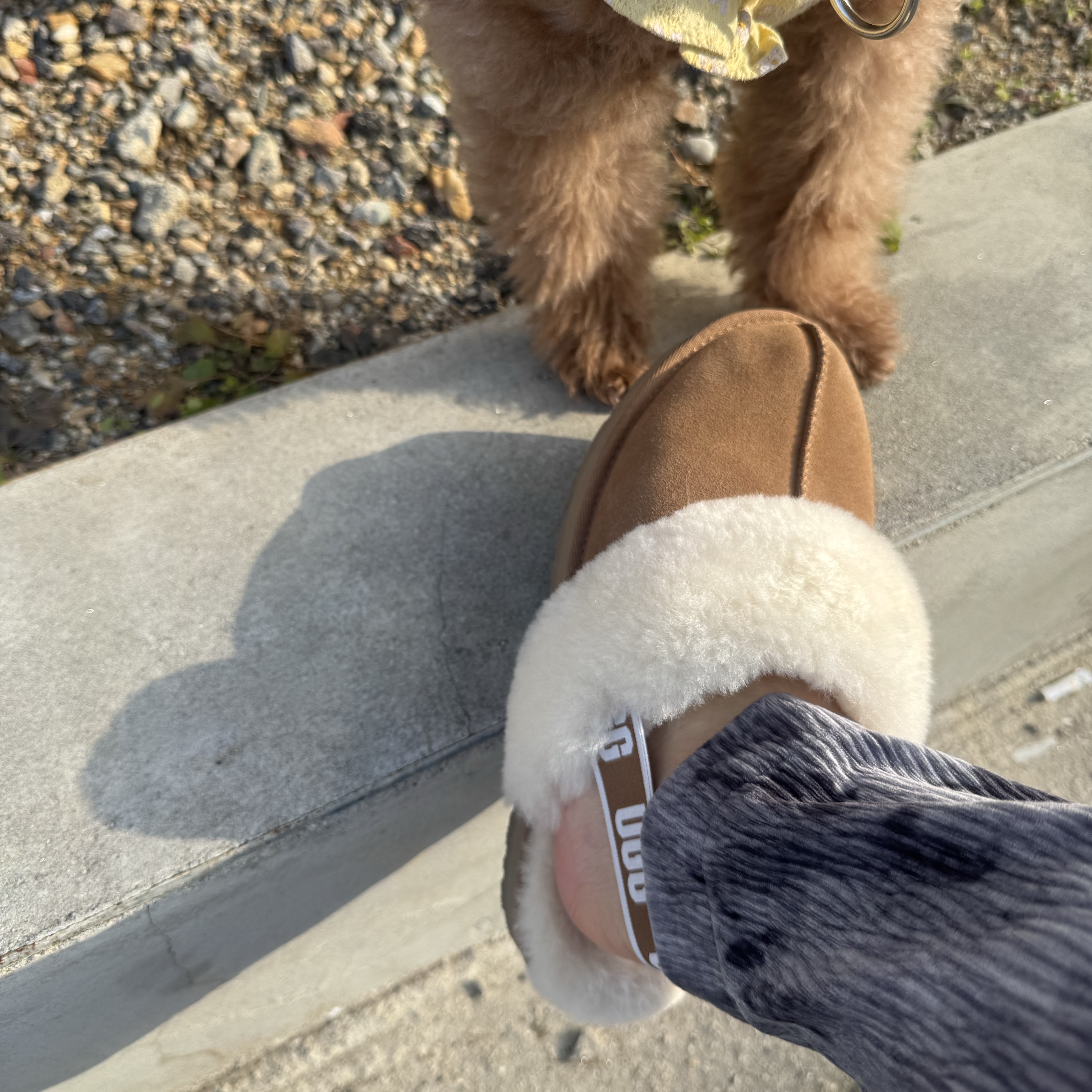 (Kids) UGG Funkette Slides Chestnut 착용 스타일