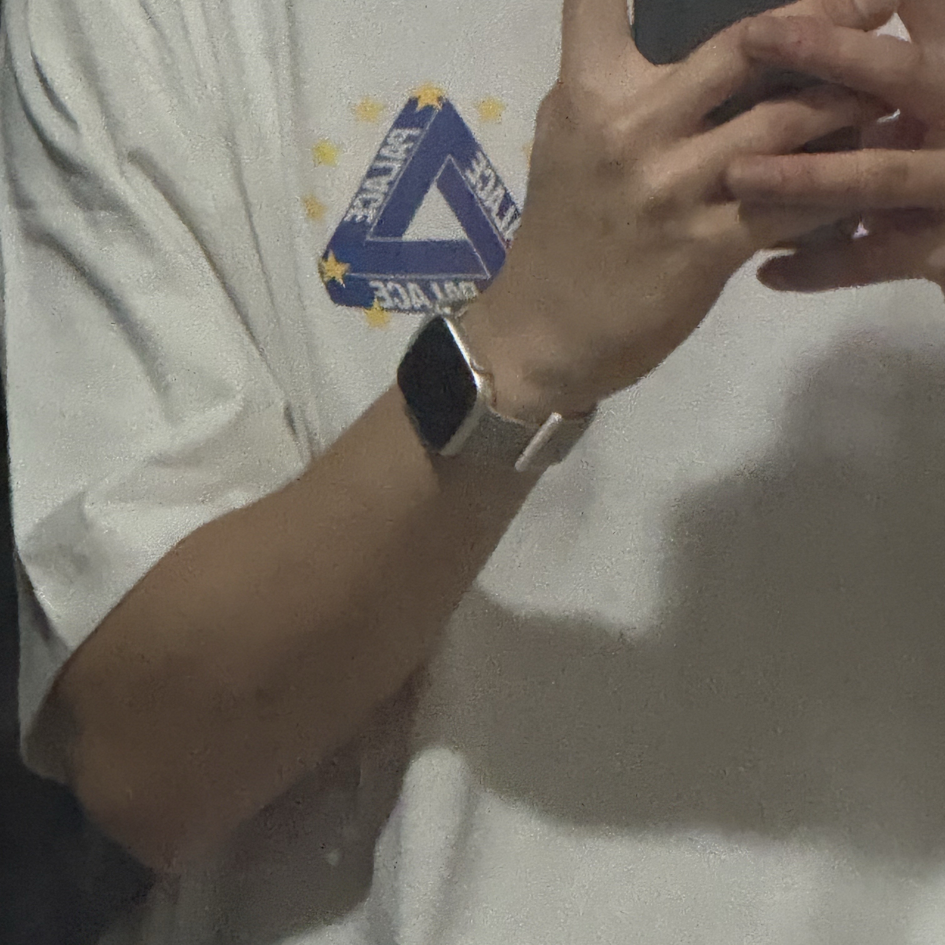 Palace EU Tri T-Shirt White - 25FW 착용 스타일