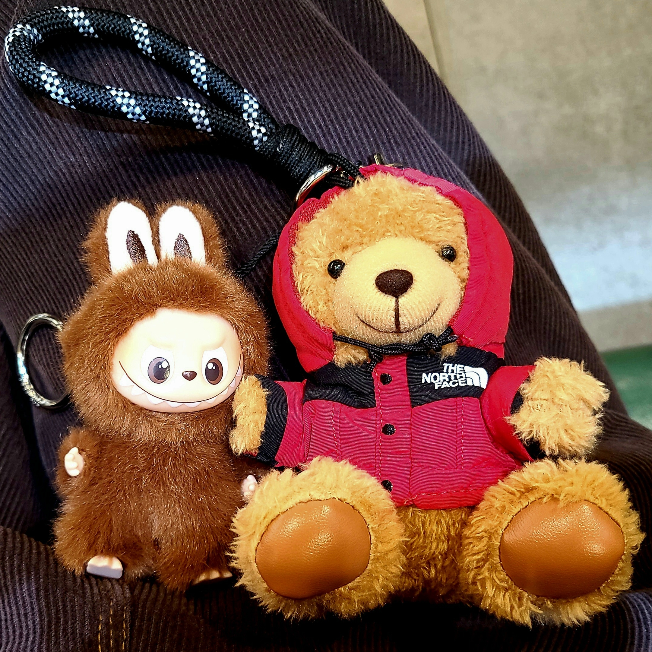 The North Face Mountain Bear Keyring Brown, Pop Mart Labubu The Monsters Pin For Love Series Vinyl Plush Pendant (A-M) L (Opened Case) 착용 스타일