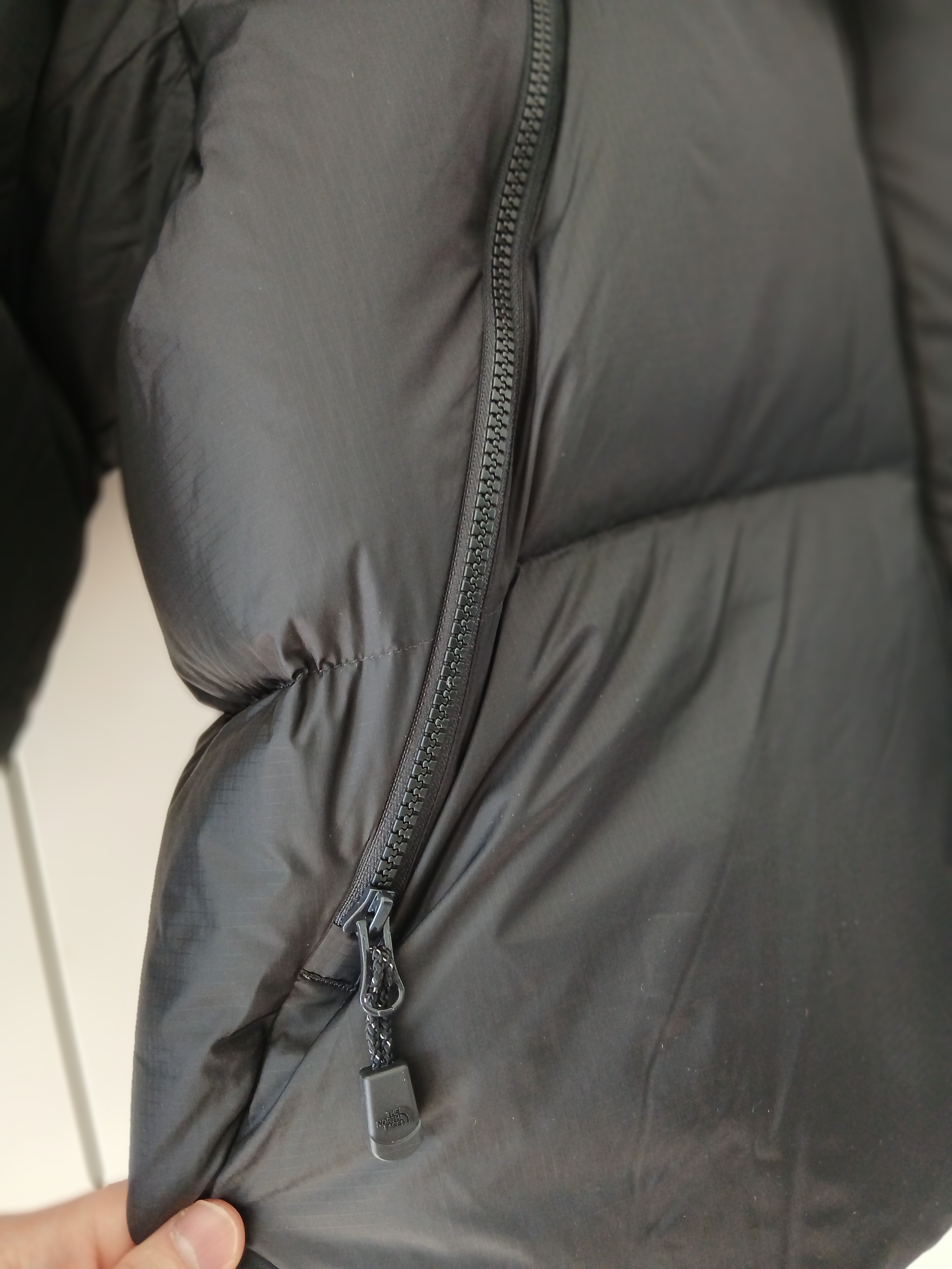 The North Face White Label Project Down Jacket RDS Black - 25FW 착용 스타일 - 9