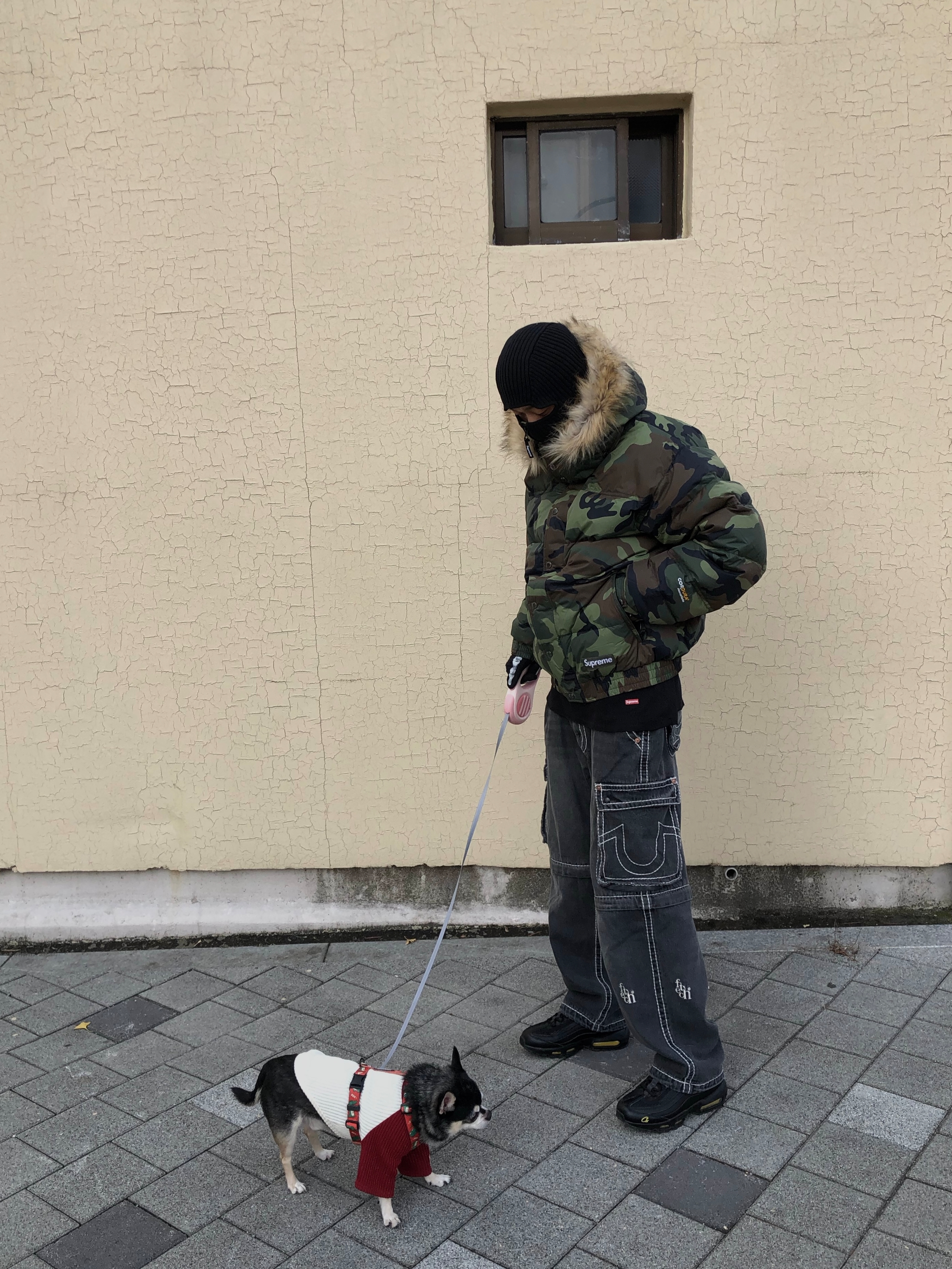 Supreme Facemask 700-Fill Down Puffer Jacket Woodland Camo - 25FW, Palace Polartec Boney Gloves Black - 25FW 착용 스타일 - 2