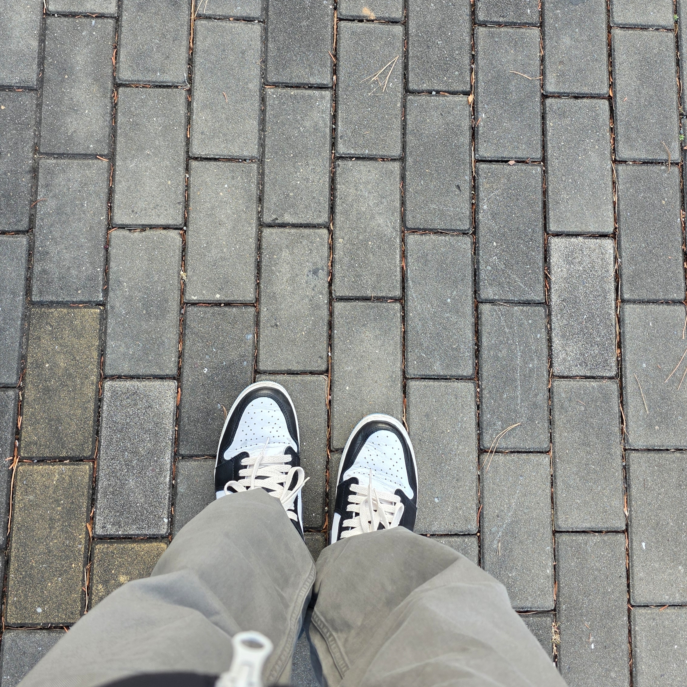 Jordan 1 Retro Low OG Black and Dark Powder Blue 착용 스타일