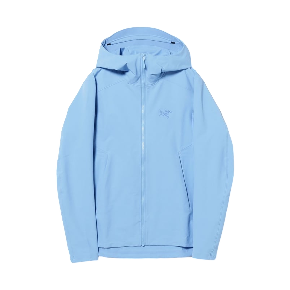 (W) 아크테릭스 x 빔즈 감마 후디 글레이셜((W) Arc'teryx x Beams Gamma Hoody Glacial)