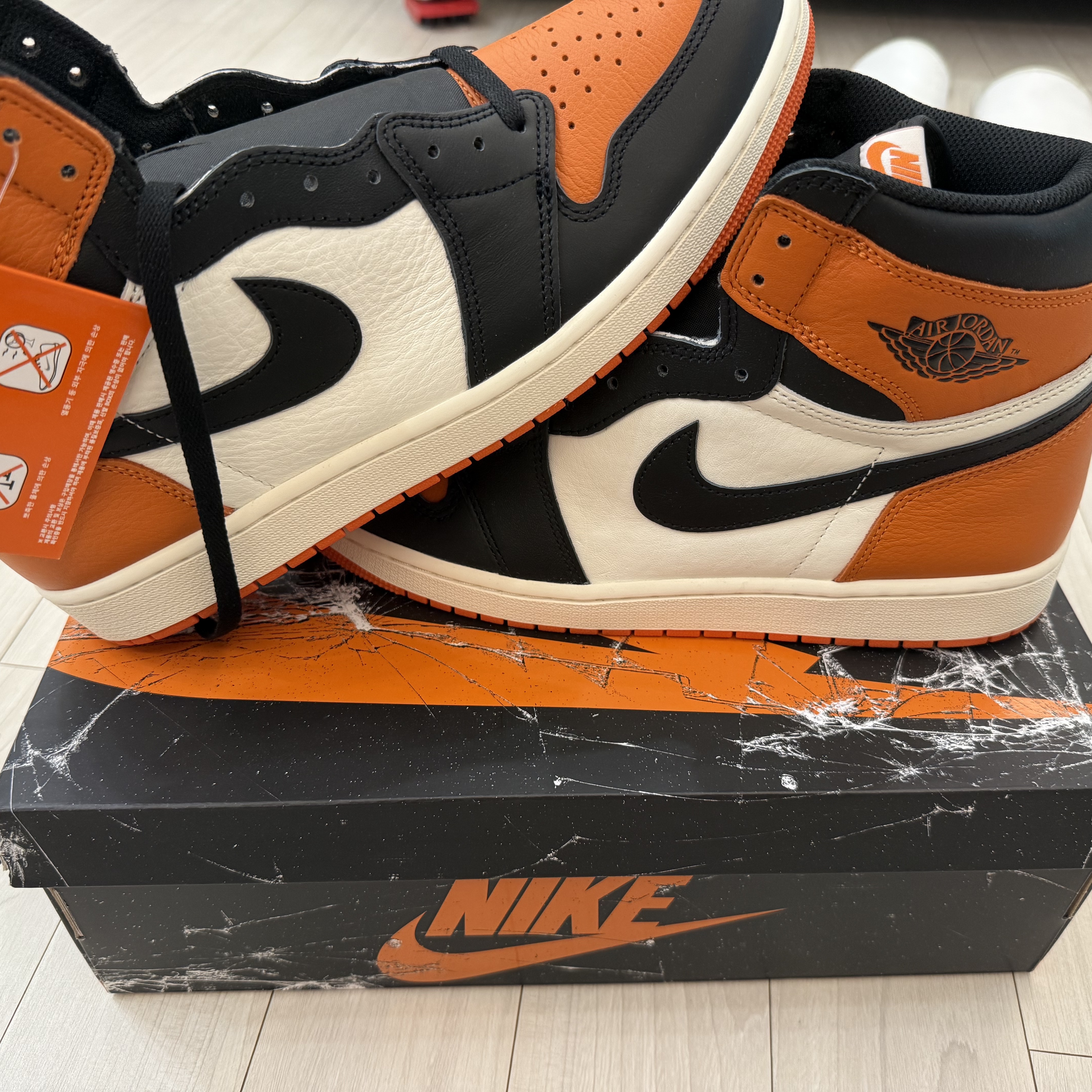 Jordan 1 Retro High OG Shattered Backboard 착용 스타일 - 2