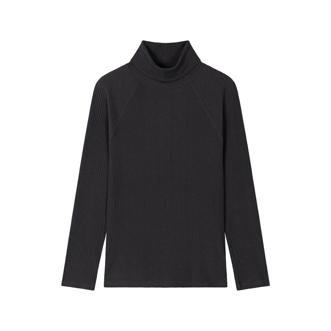 웨이비니스 래글런 터틀 넥 슬리브 그라파이트(Waviness Raglan Turtle Neck Sleeve Graphite)
