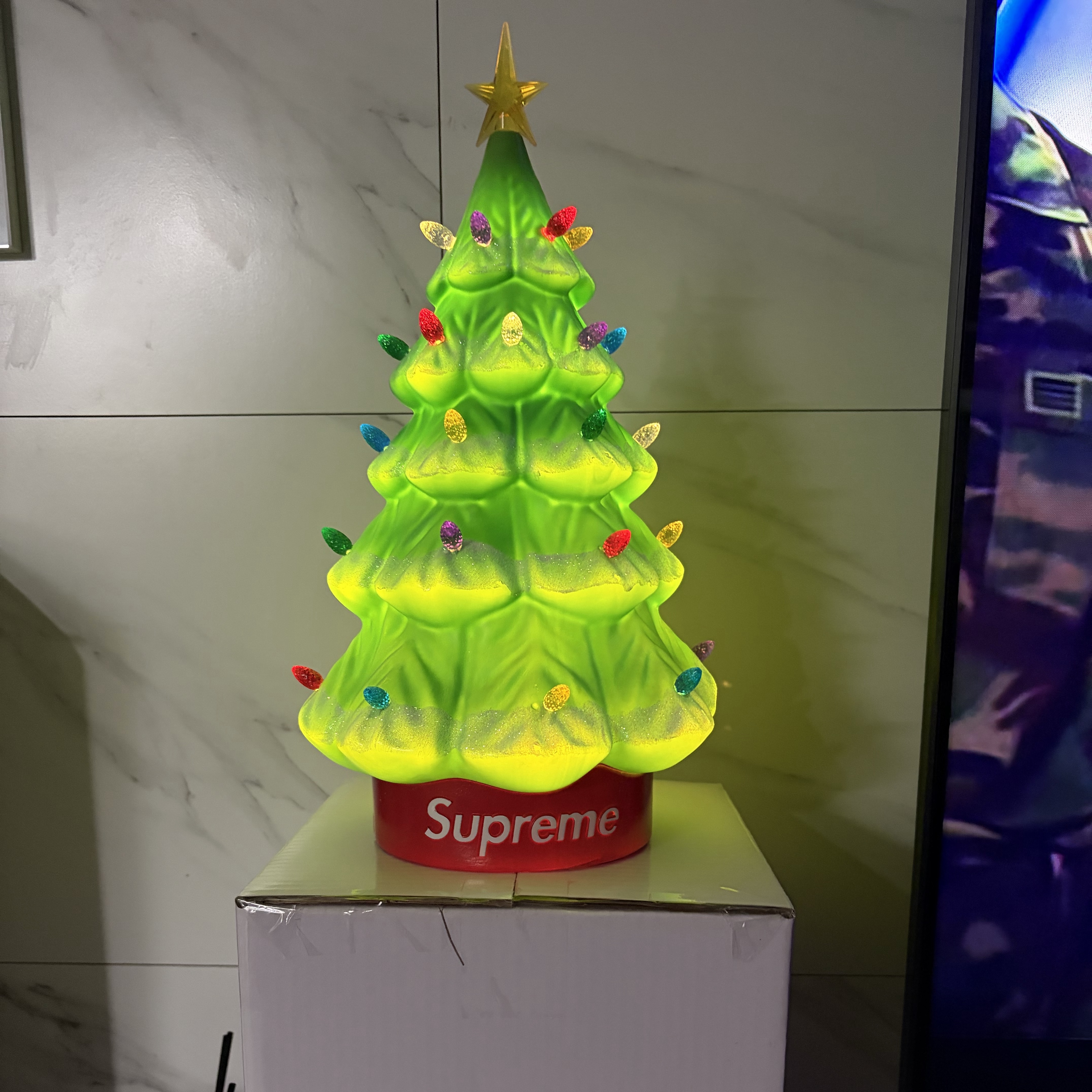 Supreme 15" Holiday Tree Green - 25FW 착용 스타일