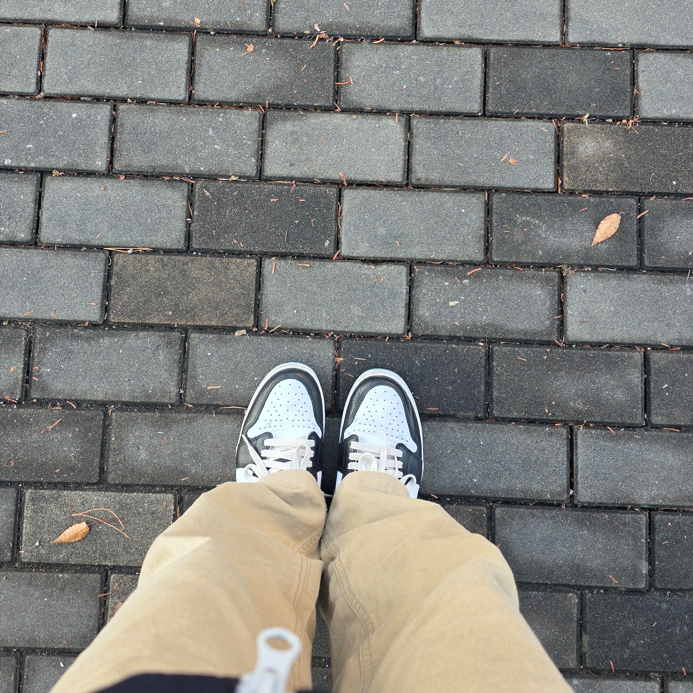 Jordan 1 Retro Low OG Black and Dark Powder Blue 착용 스타일