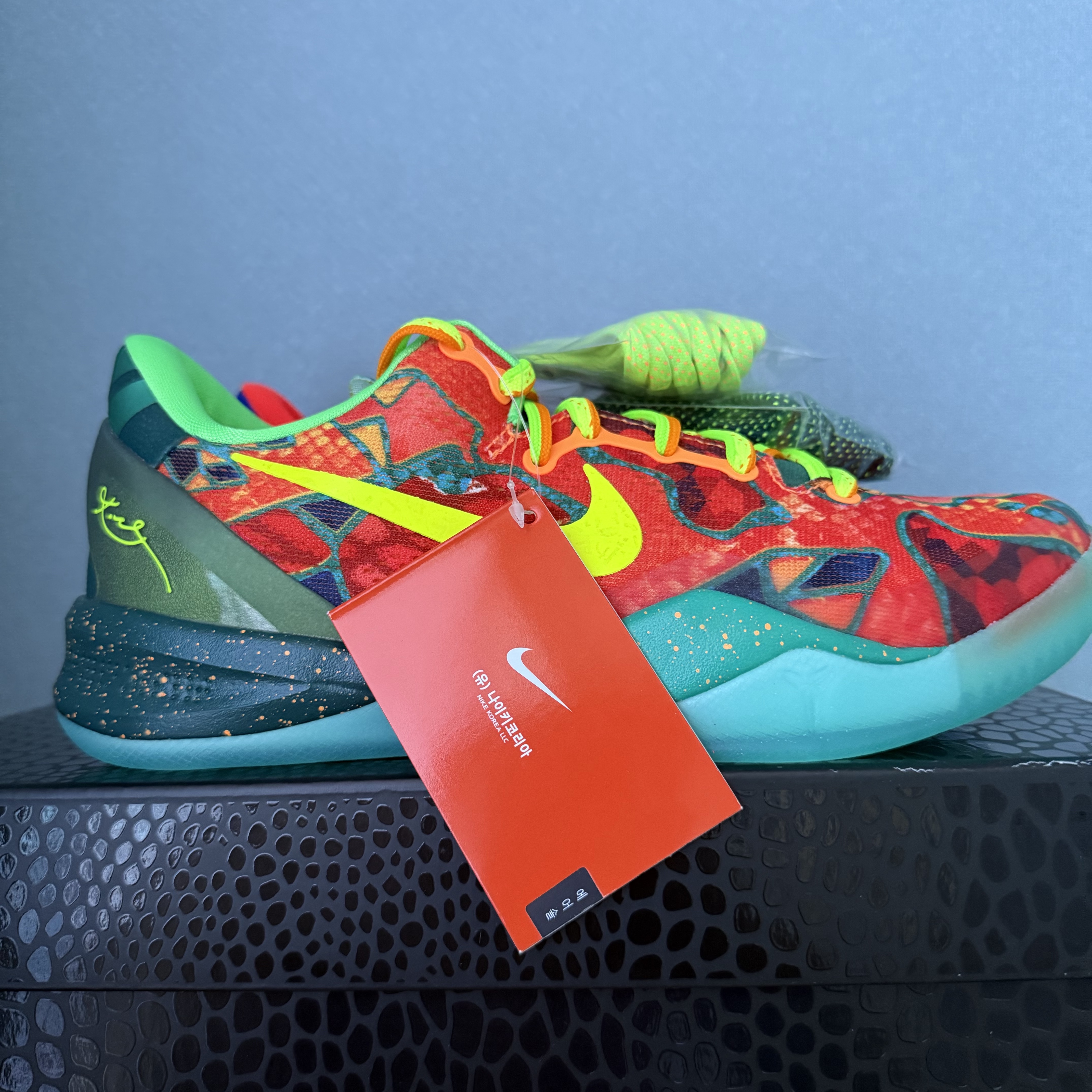 Nike Kobe 8 Protro What the Kobe 착용 스타일 - 6