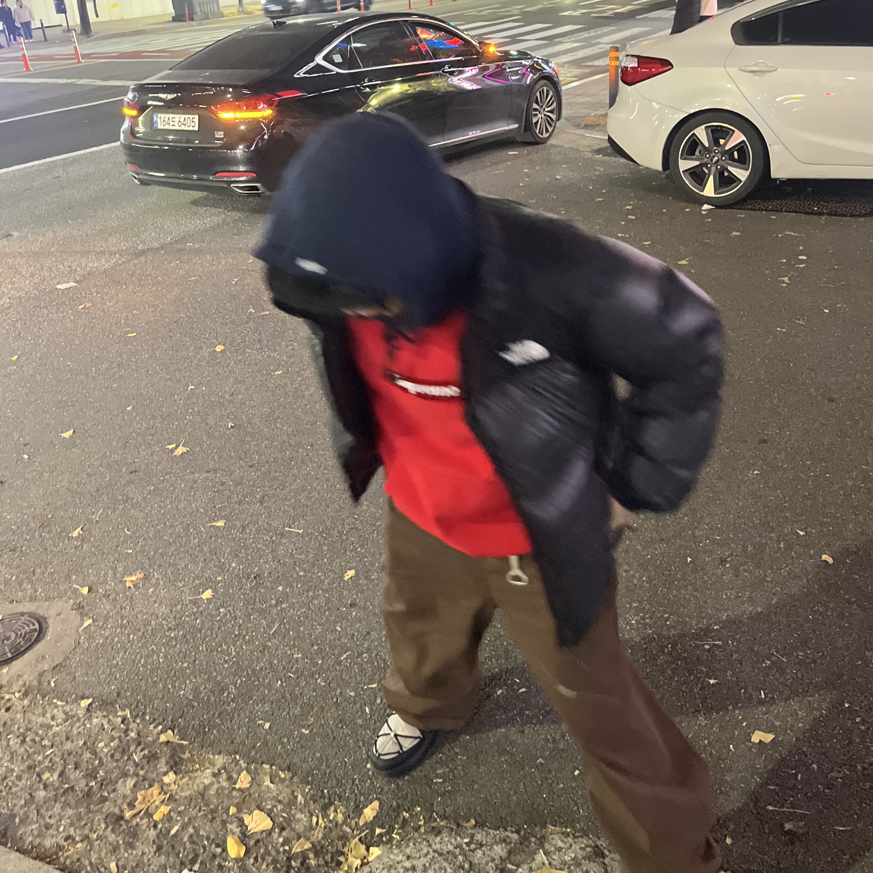 Supreme Box Logo Hooded Sweatshirt Multicolor - 24FW, The North Face 1996 Eco Nuptse Jacket Black 착용 스타일