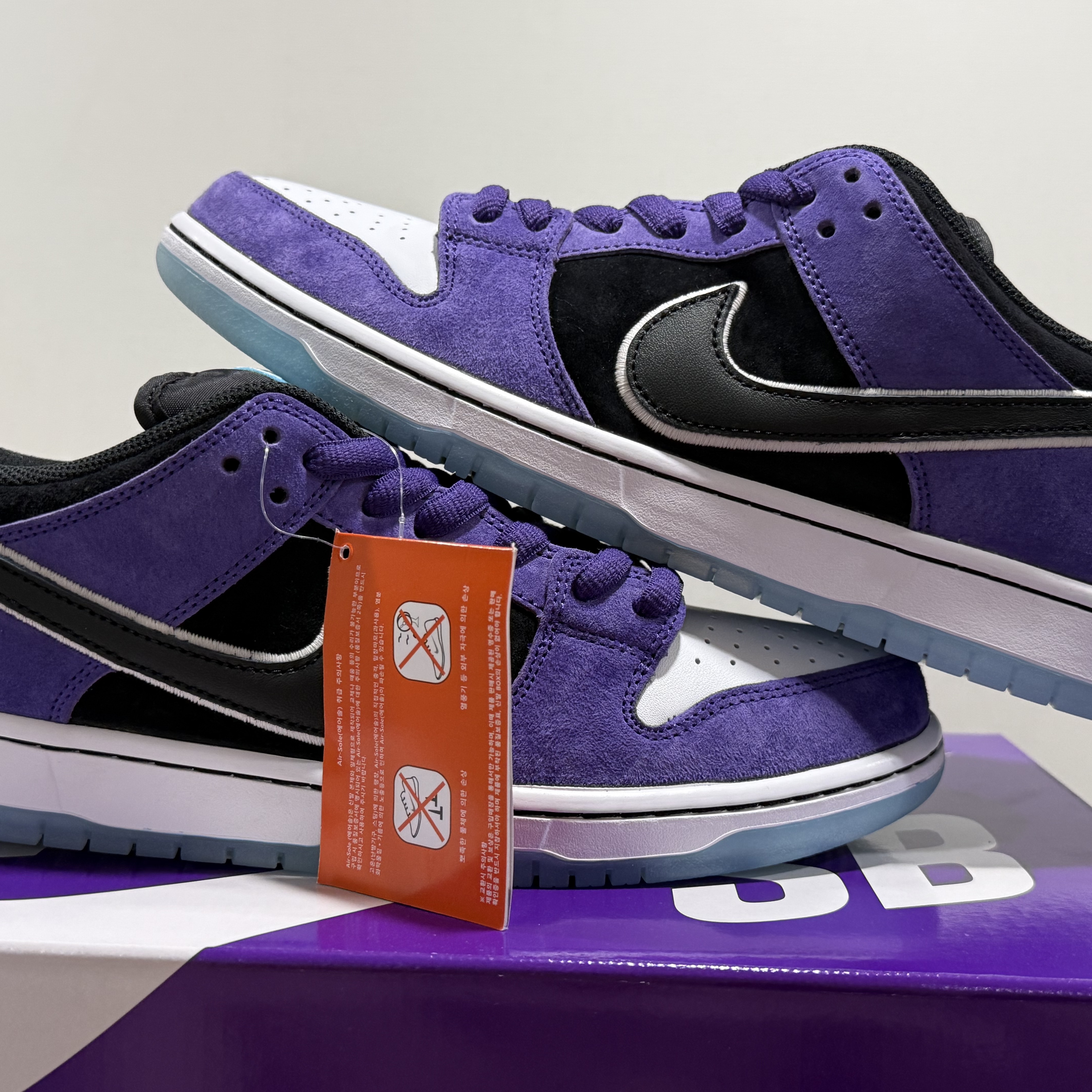 Nike x Hayley Wilson SB Dunk Low Pro Black and Court Purple 착용 스타일 - 2