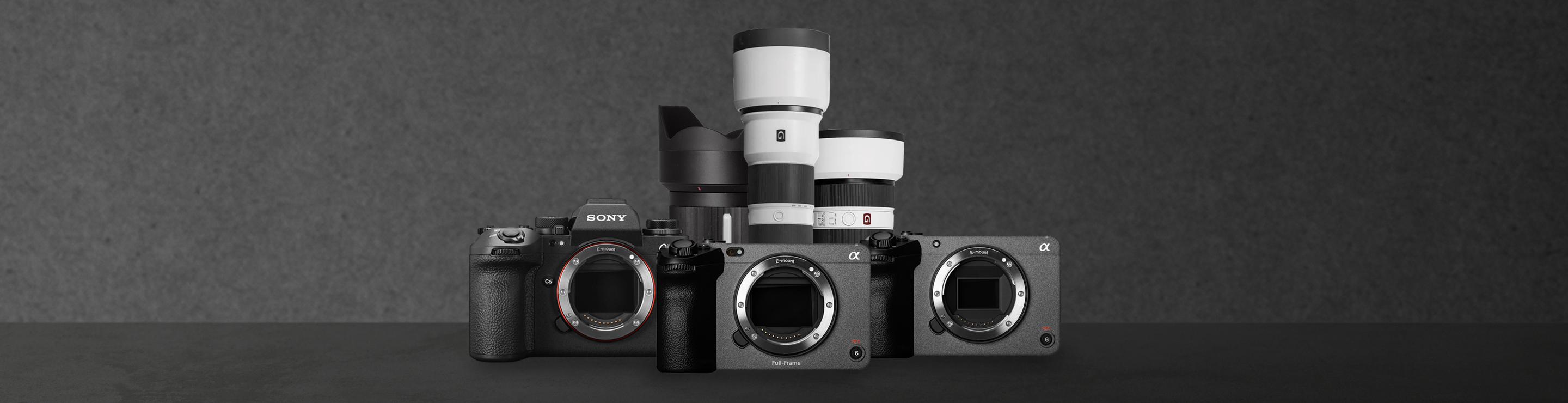 소니카메라(Sony Camera)