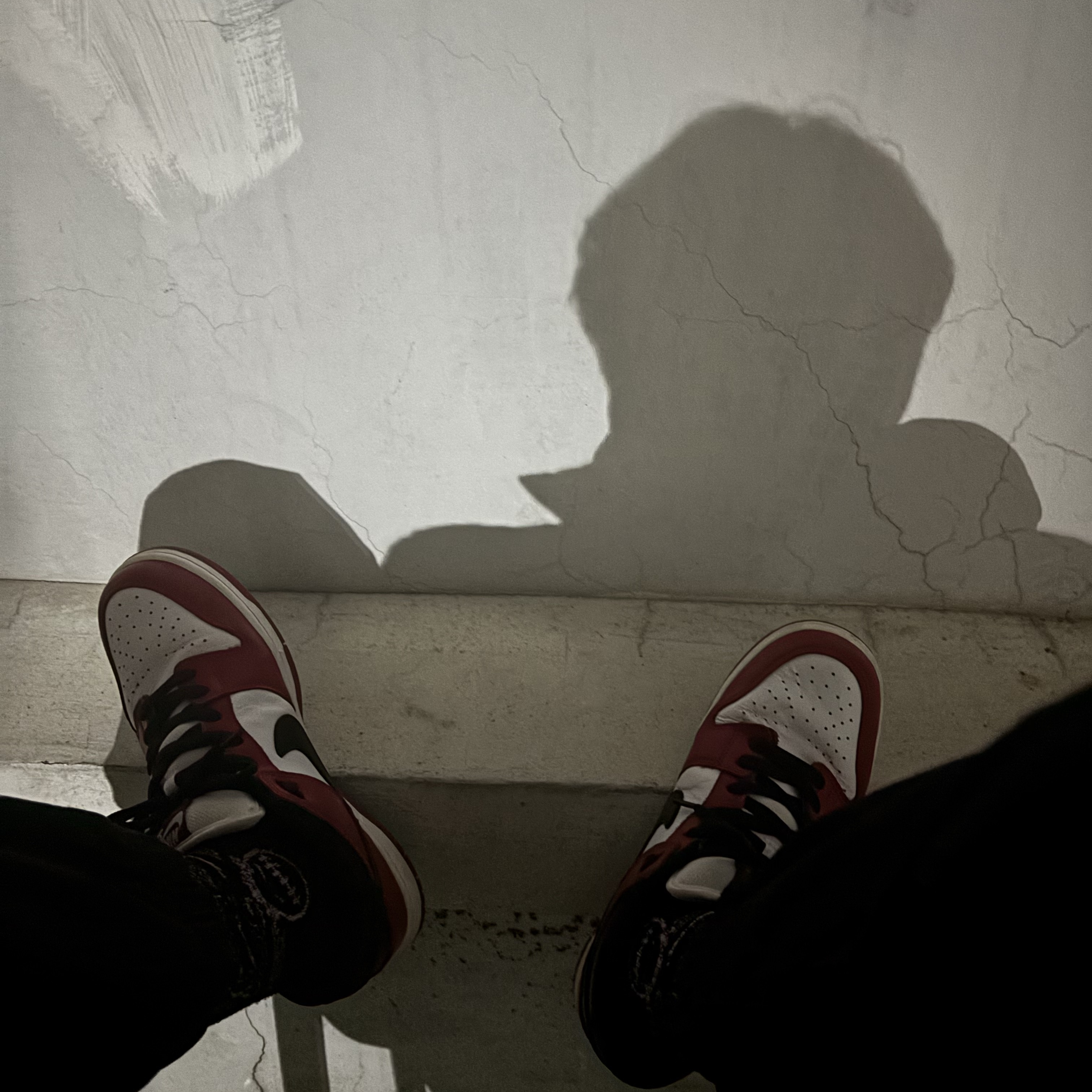 Nike SB Dunk Low Pro Chicago 착용 스타일