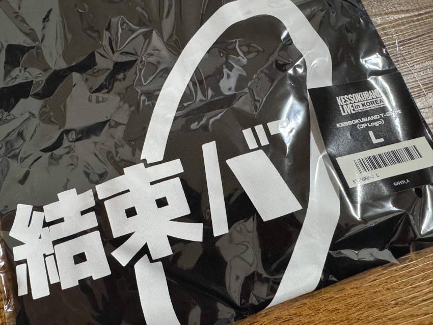 KESSOKUBAND T-Shirt (KR Logo) 착용 스타일