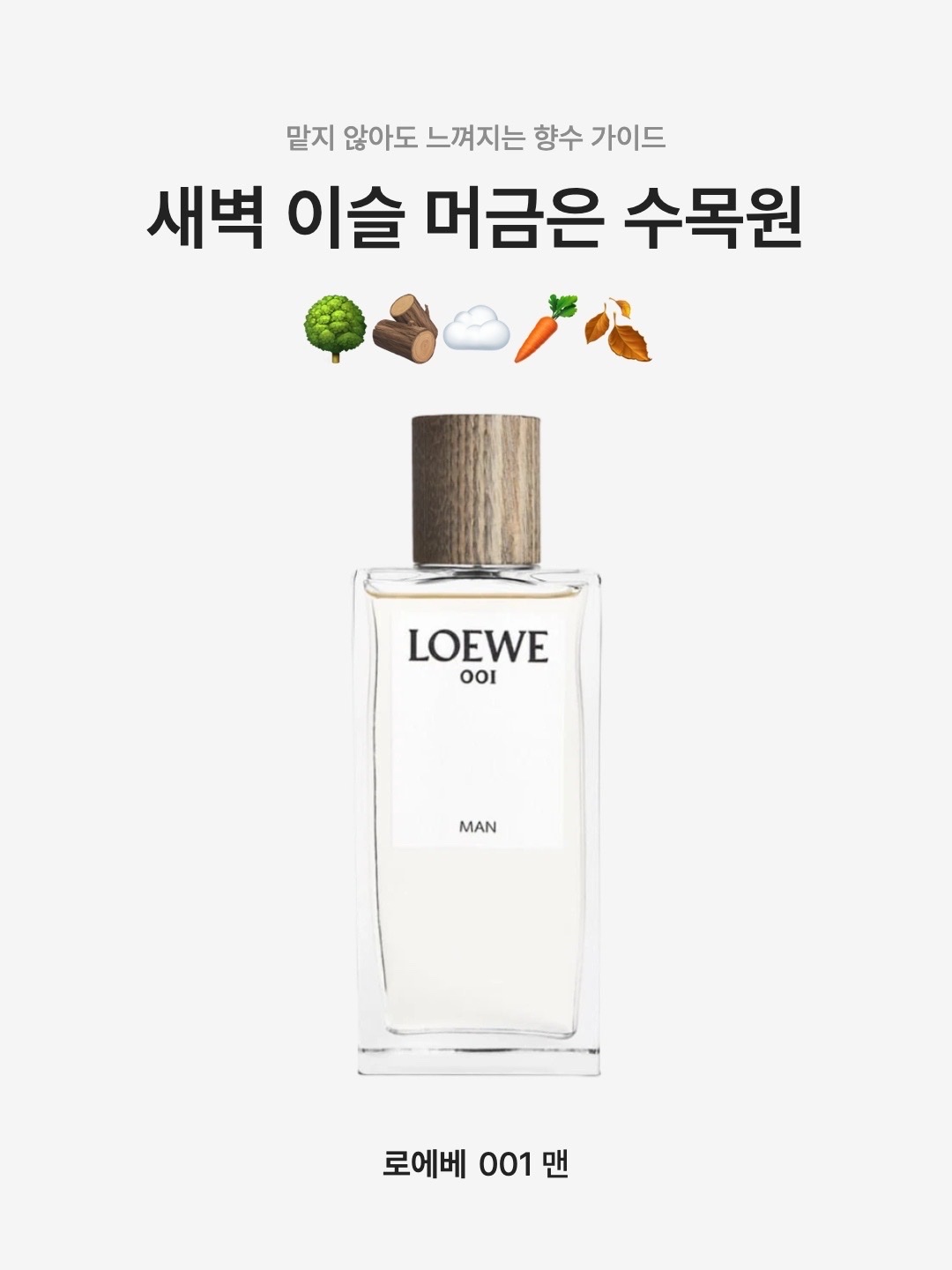 Loewe 001 Man Eau De Parfum 100ml, Loewe 001 Man Eau De Parfum 50ml 착용 스타일 - 1