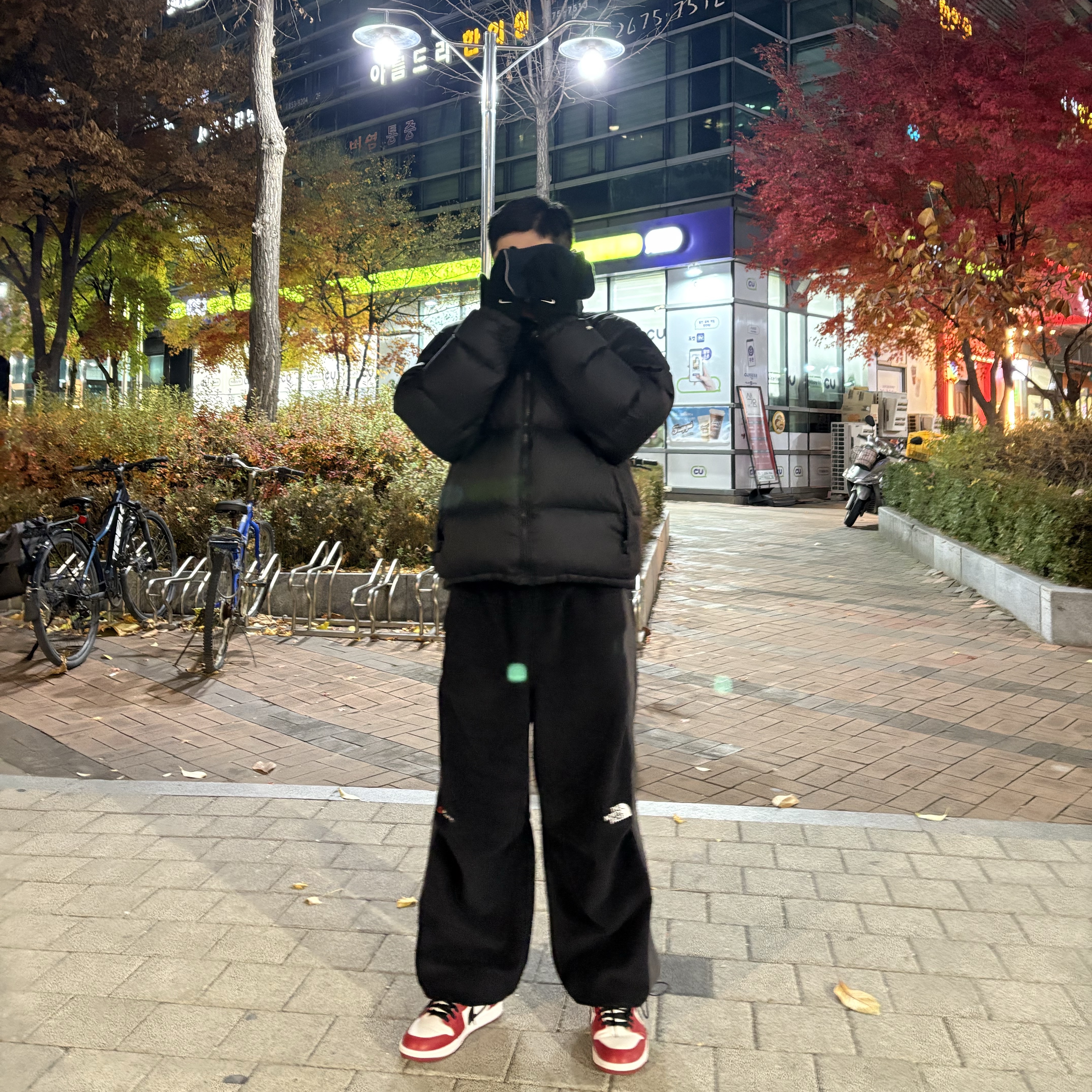 The North Face Banff Fleece Pants Black, Jordan 1 Retro Low OG Chicago 착용 스타일