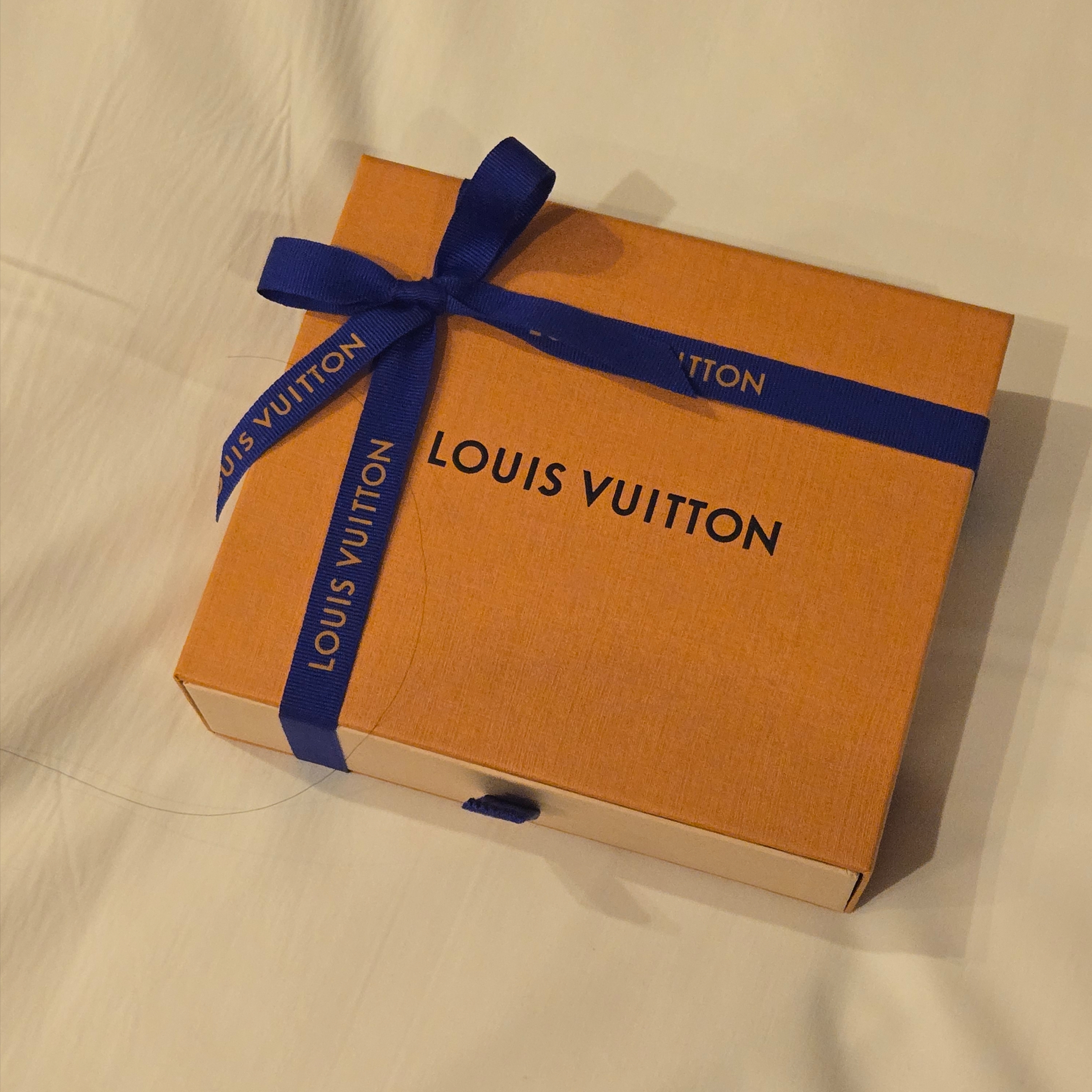 Louis Vuitton Envelope Business Card Holder Monogram 착용 스타일 - 2